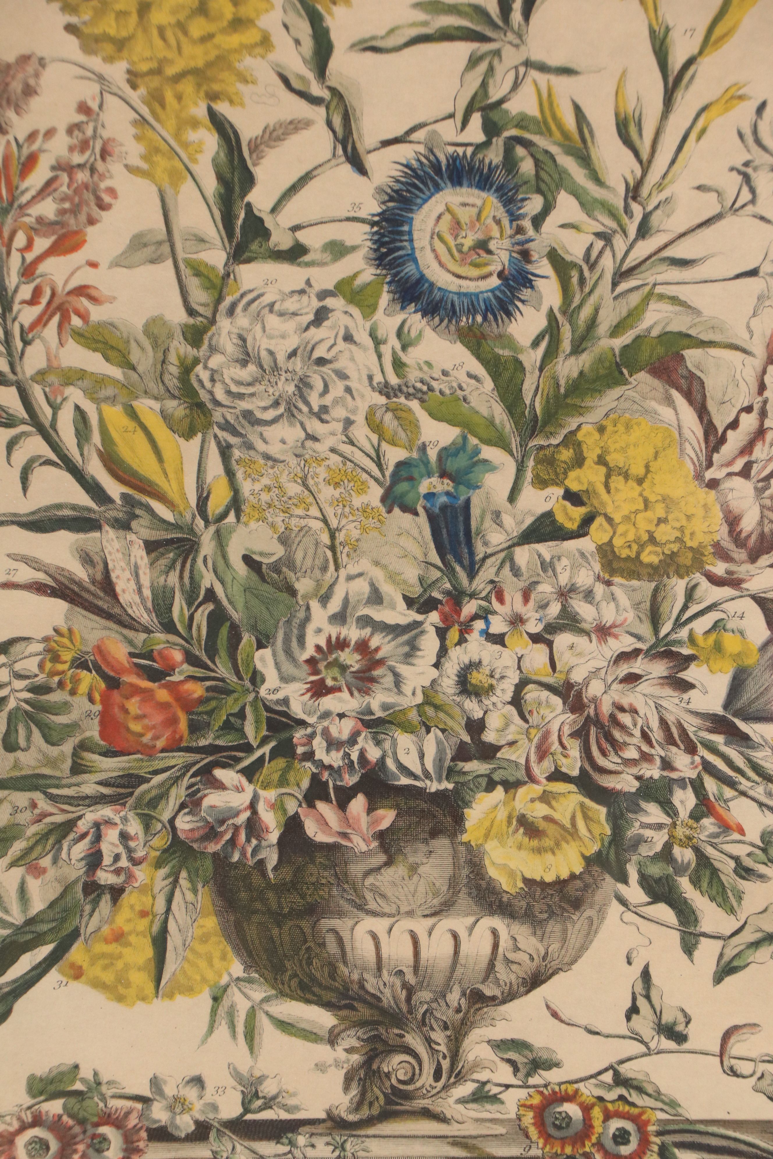 Botanical Hand-Colored Collotypes After Robert Furber "July" and "September"