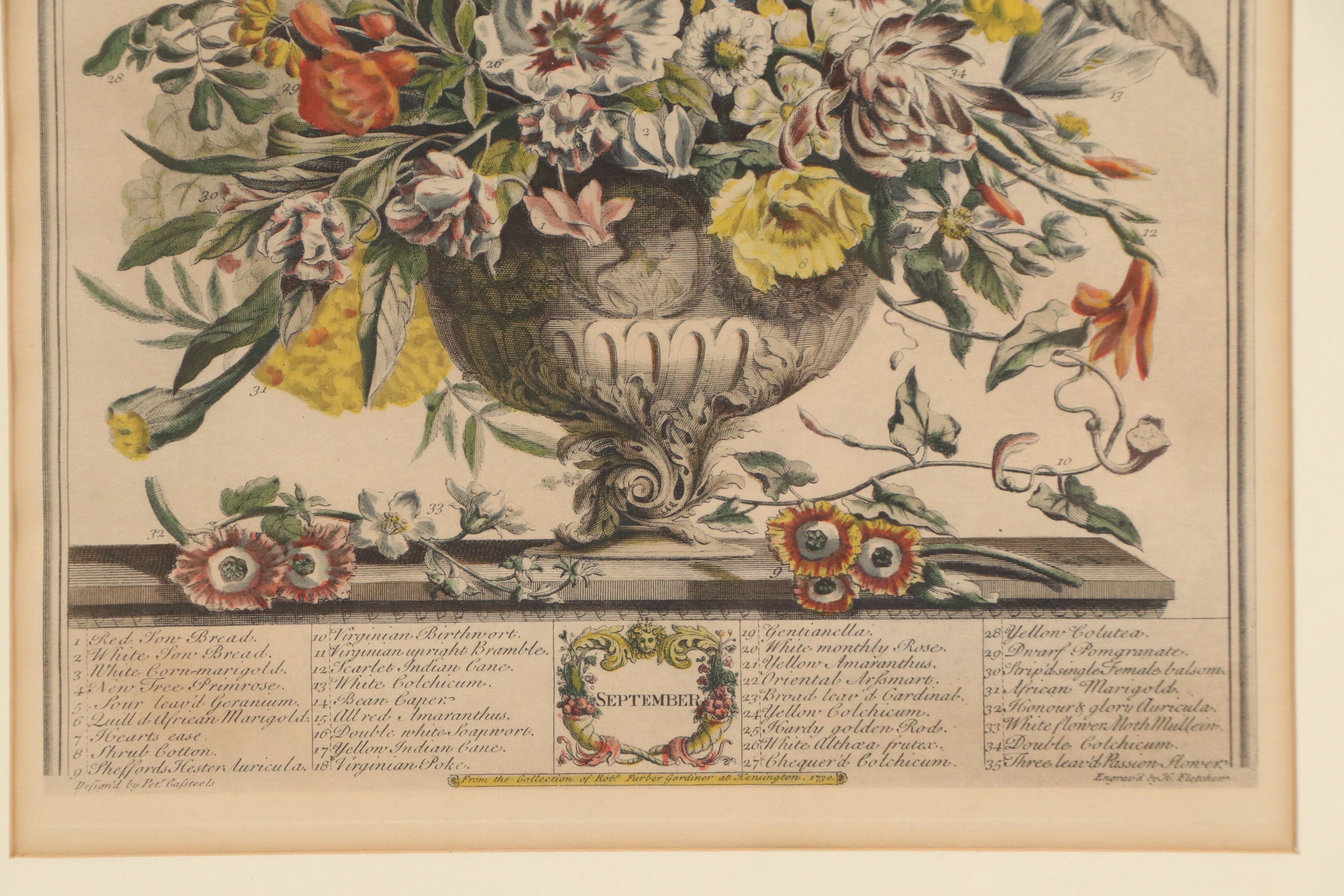 Botanical Hand-Colored Collotypes After Robert Furber "July" and "September"