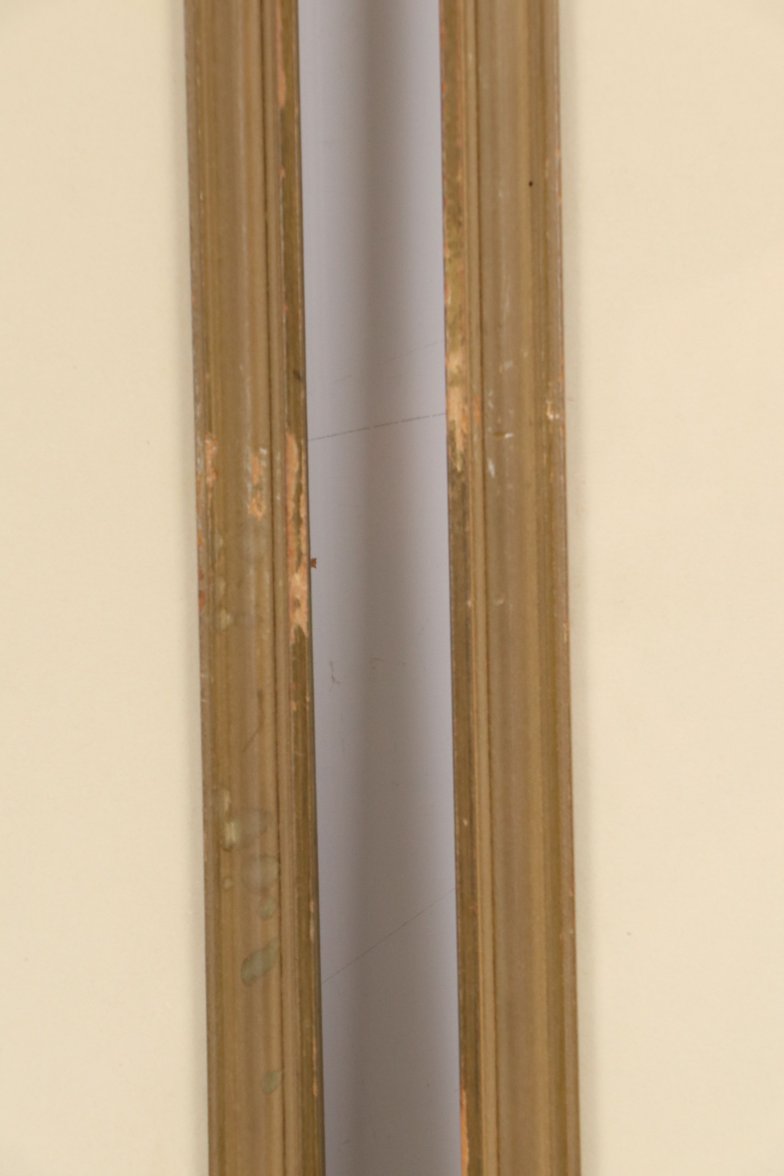 Botanical Hand-Colored Collotypes After Robert Furber "July" and "September"