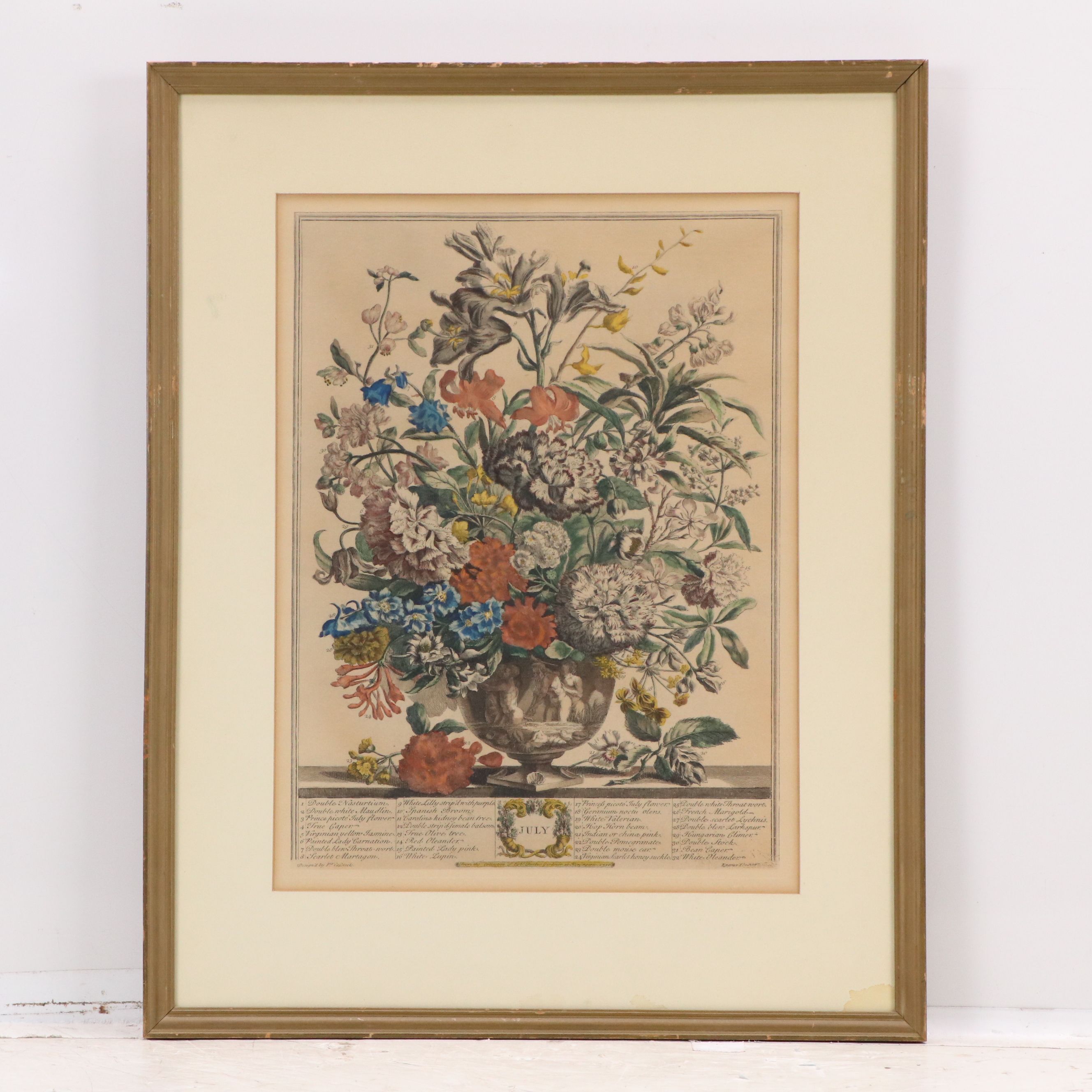 Botanical Hand-Colored Collotypes After Robert Furber "July" and "September"