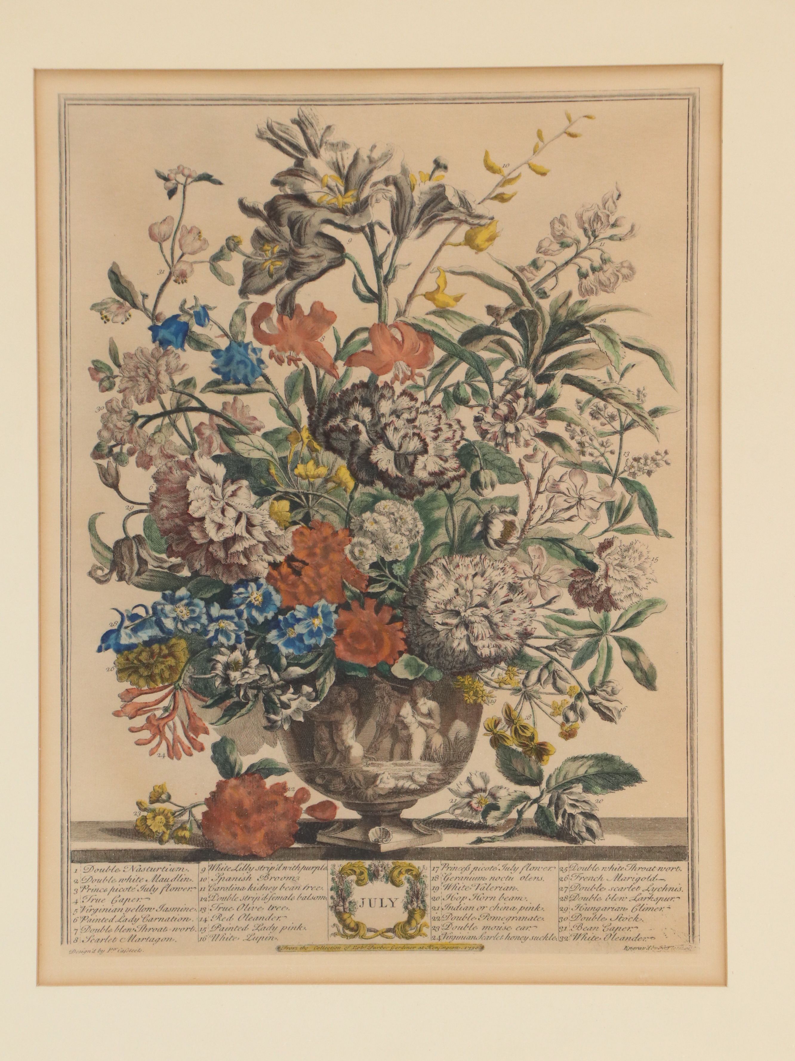 Botanical Hand-Colored Collotypes After Robert Furber "July" and "September"