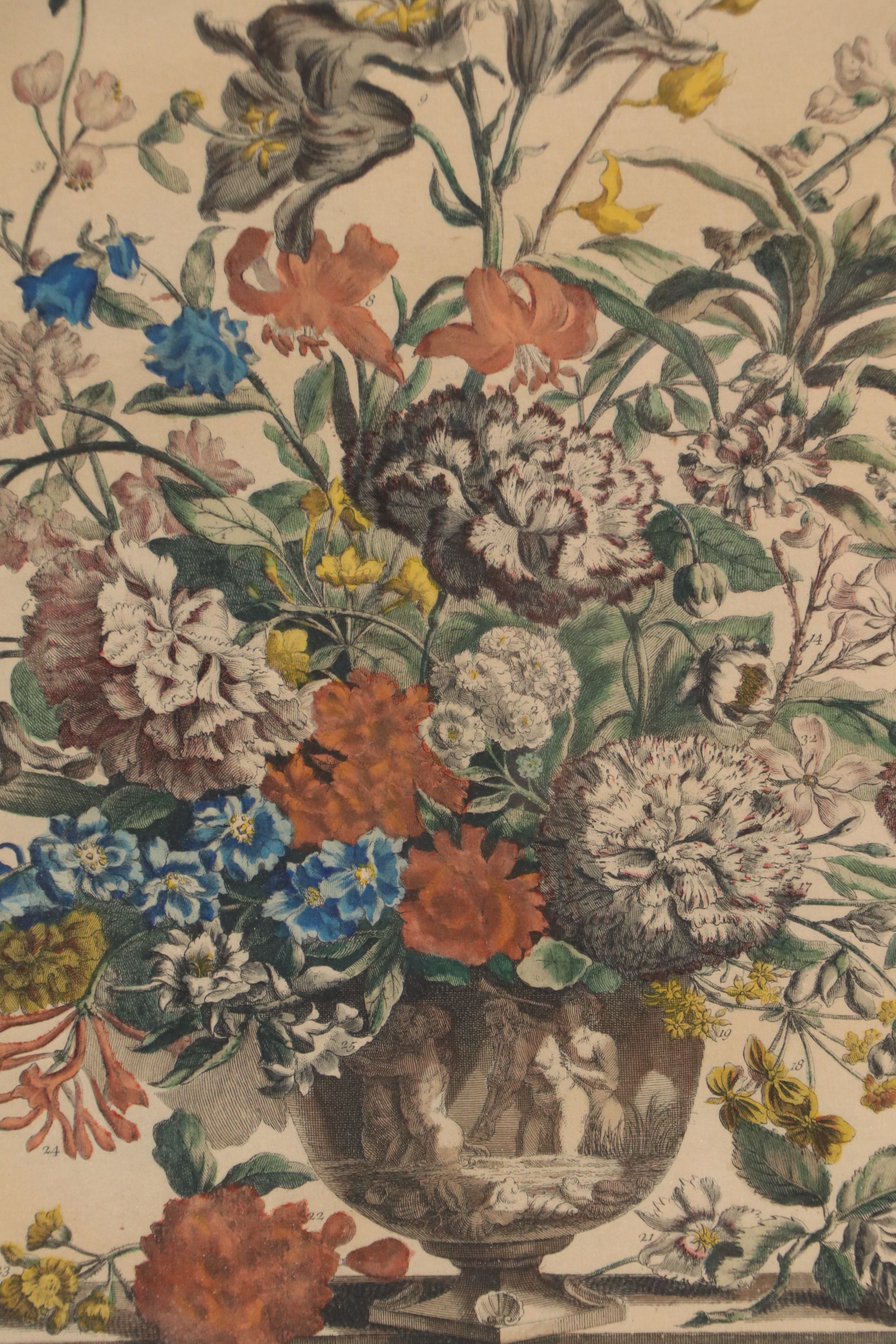 Botanical Hand-Colored Collotypes After Robert Furber "July" and "September"