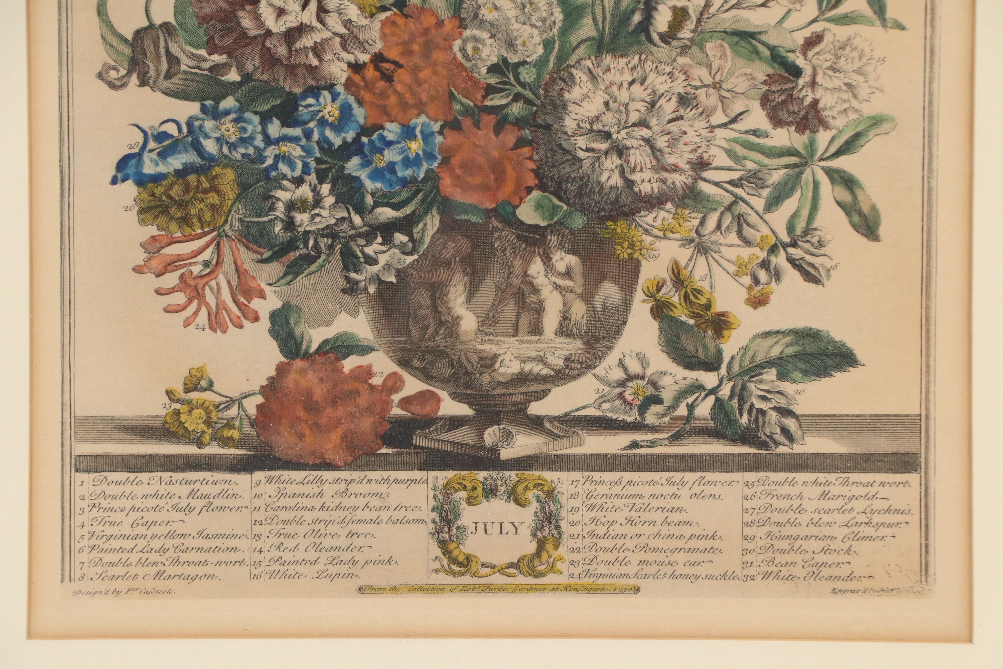 Botanical Hand-Colored Collotypes After Robert Furber "July" and "September"
