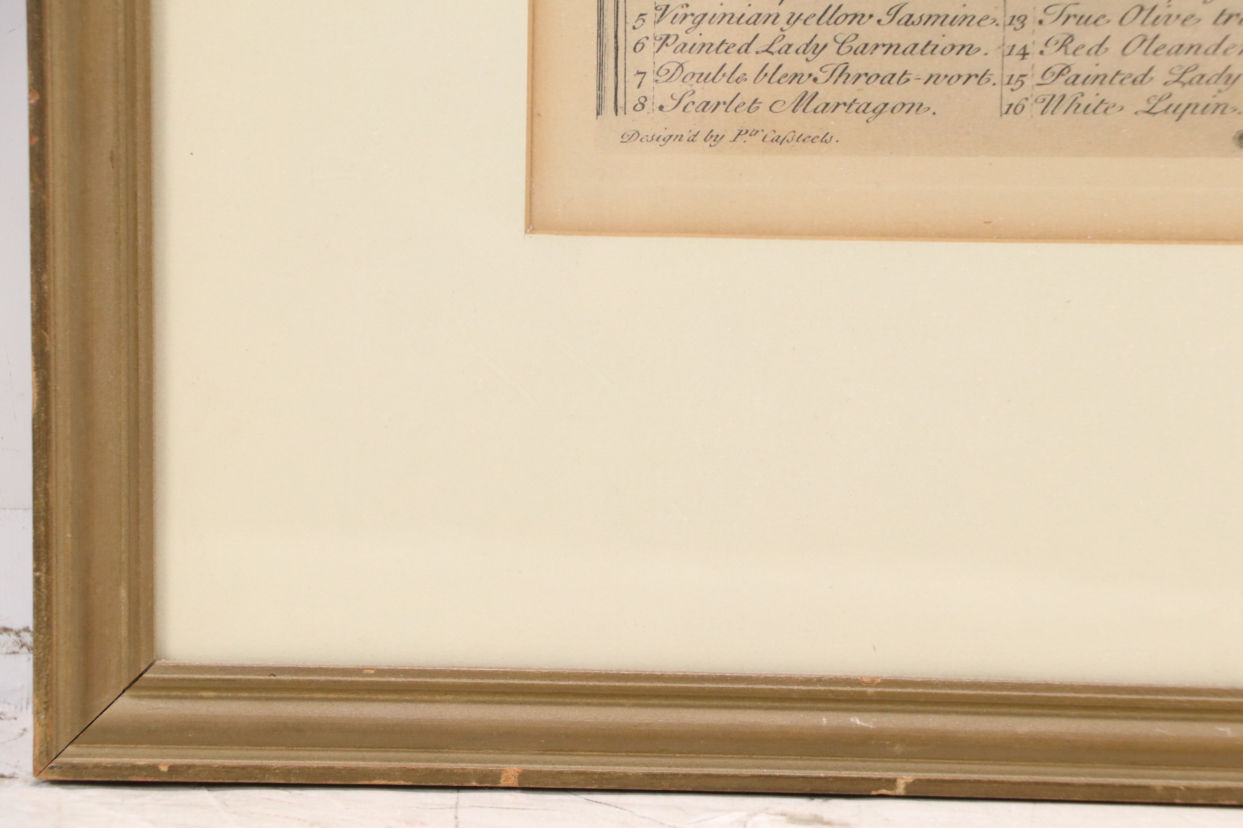 Botanical Hand-Colored Collotypes After Robert Furber "July" and "September"