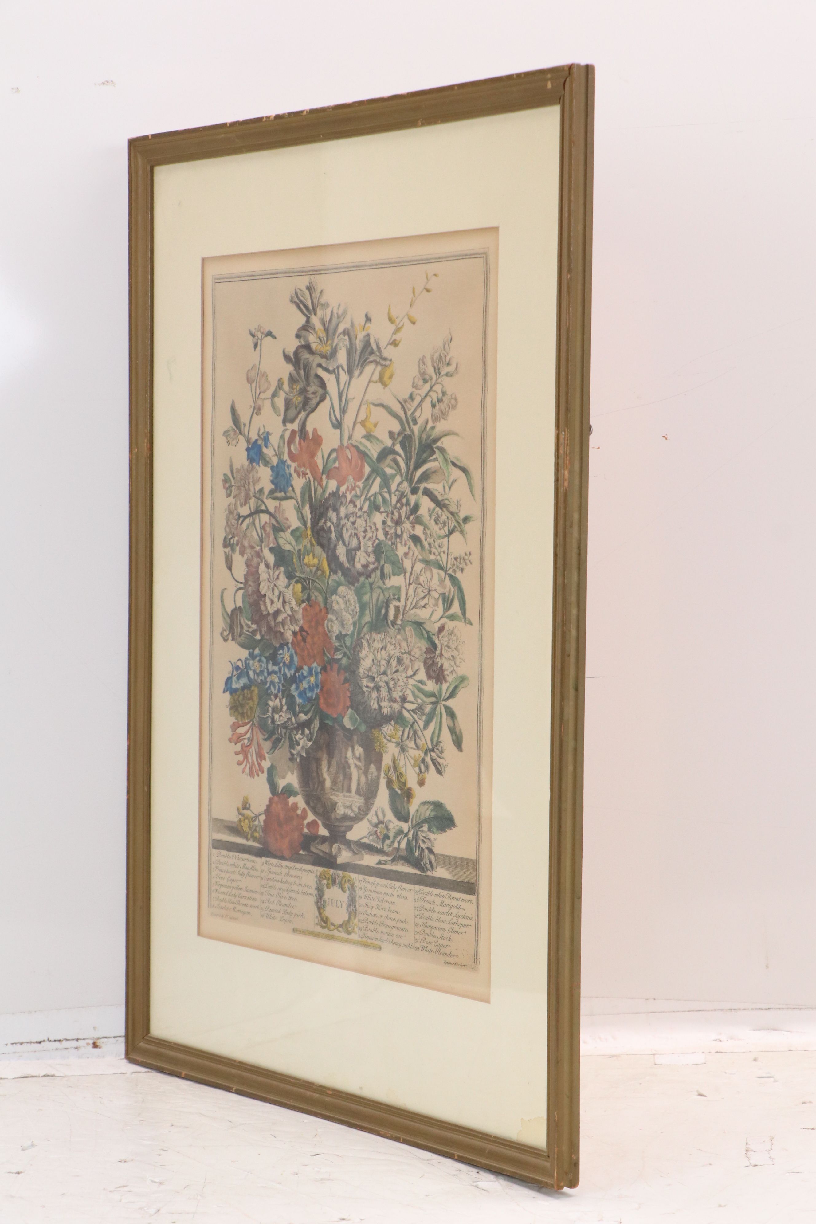 Botanical Hand-Colored Collotypes After Robert Furber "July" and "September"