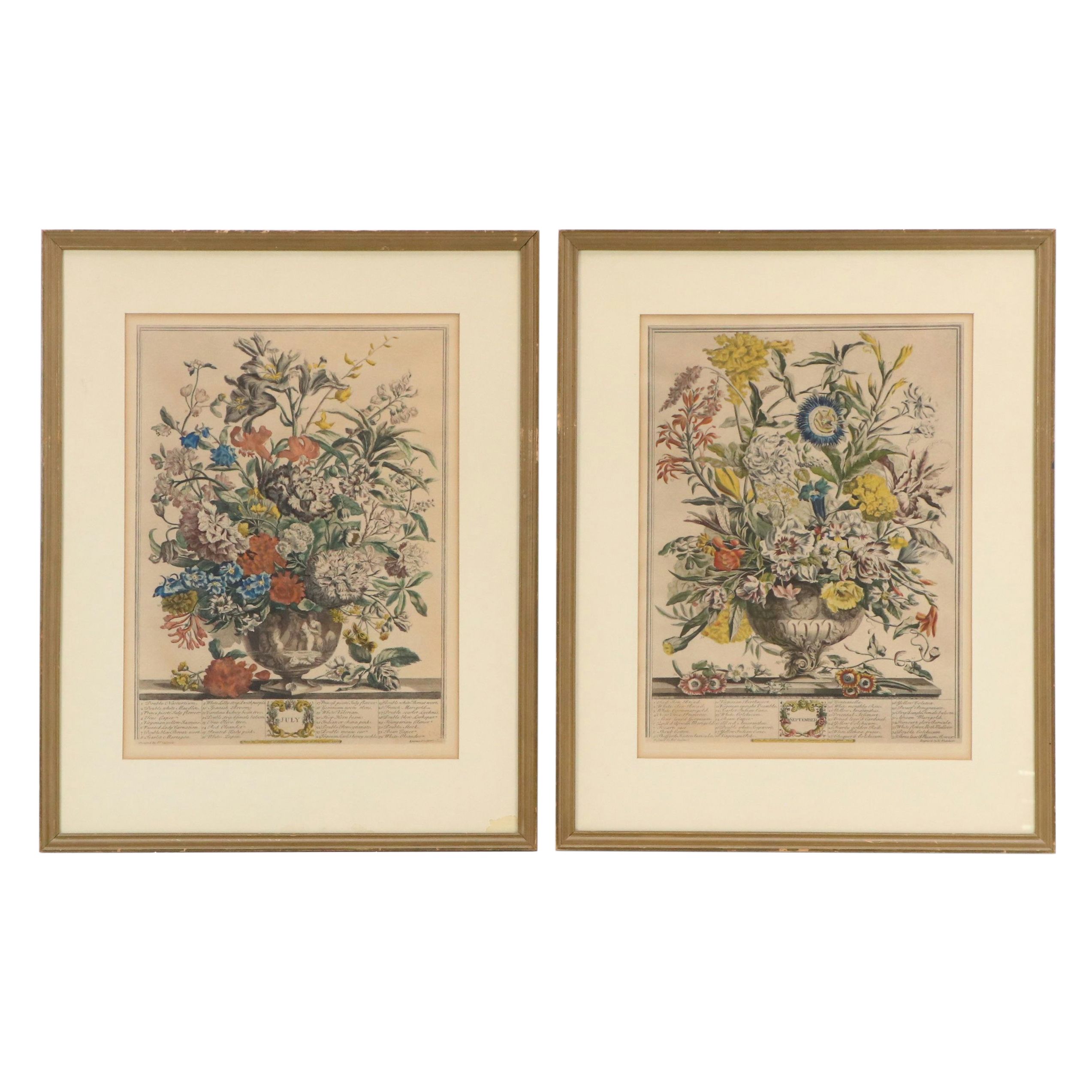 Botanical Hand-Colored Collotypes After Robert Furber "July" and "September"