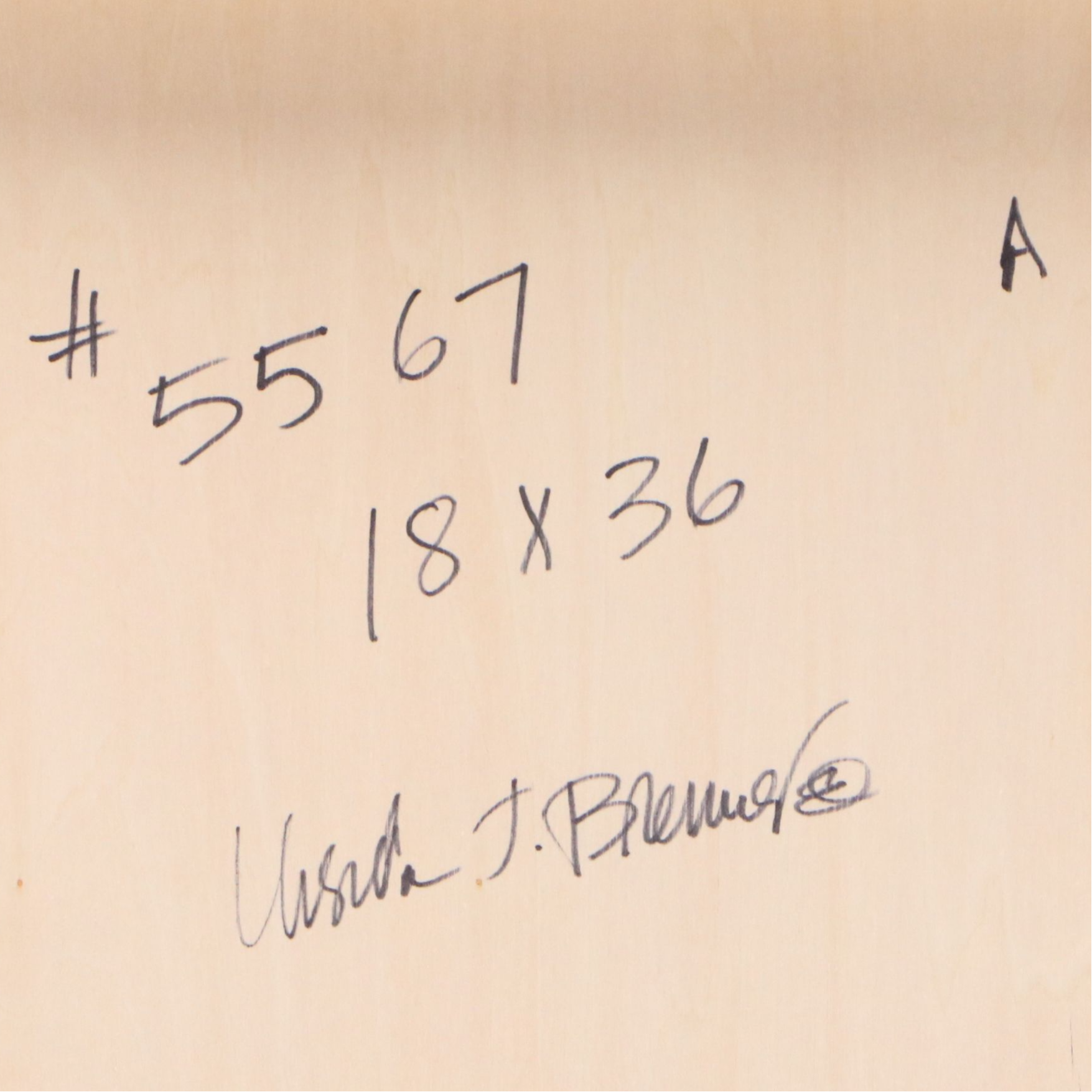 Ursula J. Brenner Abstract Mixed Media Painting, 21st Century