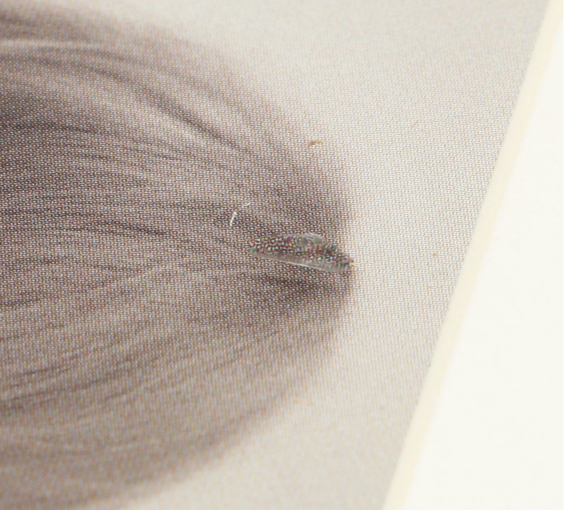 Taylor Swift Signed "The Tortured Poets Department" CD Card in Frame