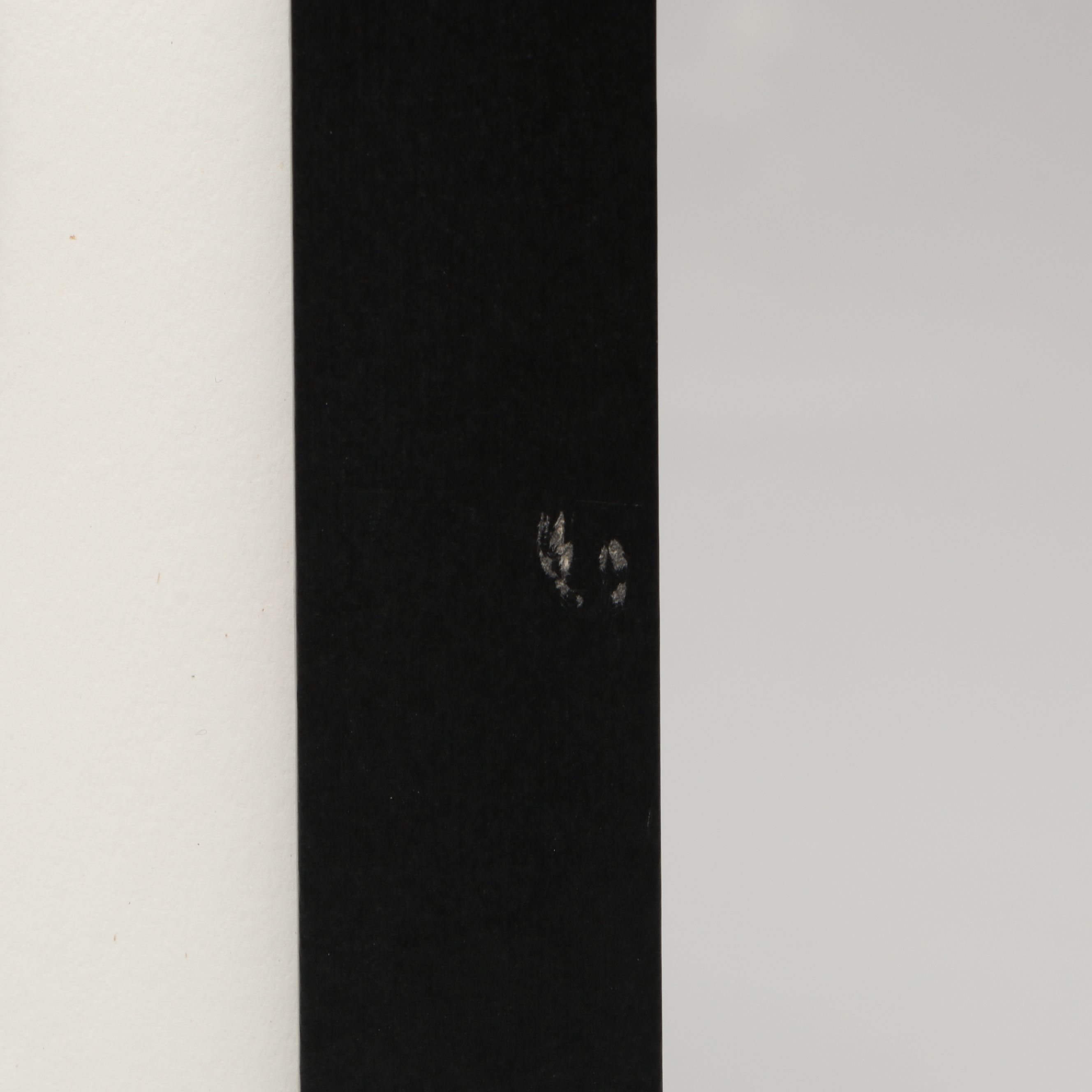 Taylor Swift Signed "The Tortured Poets Department" CD Card in Frame