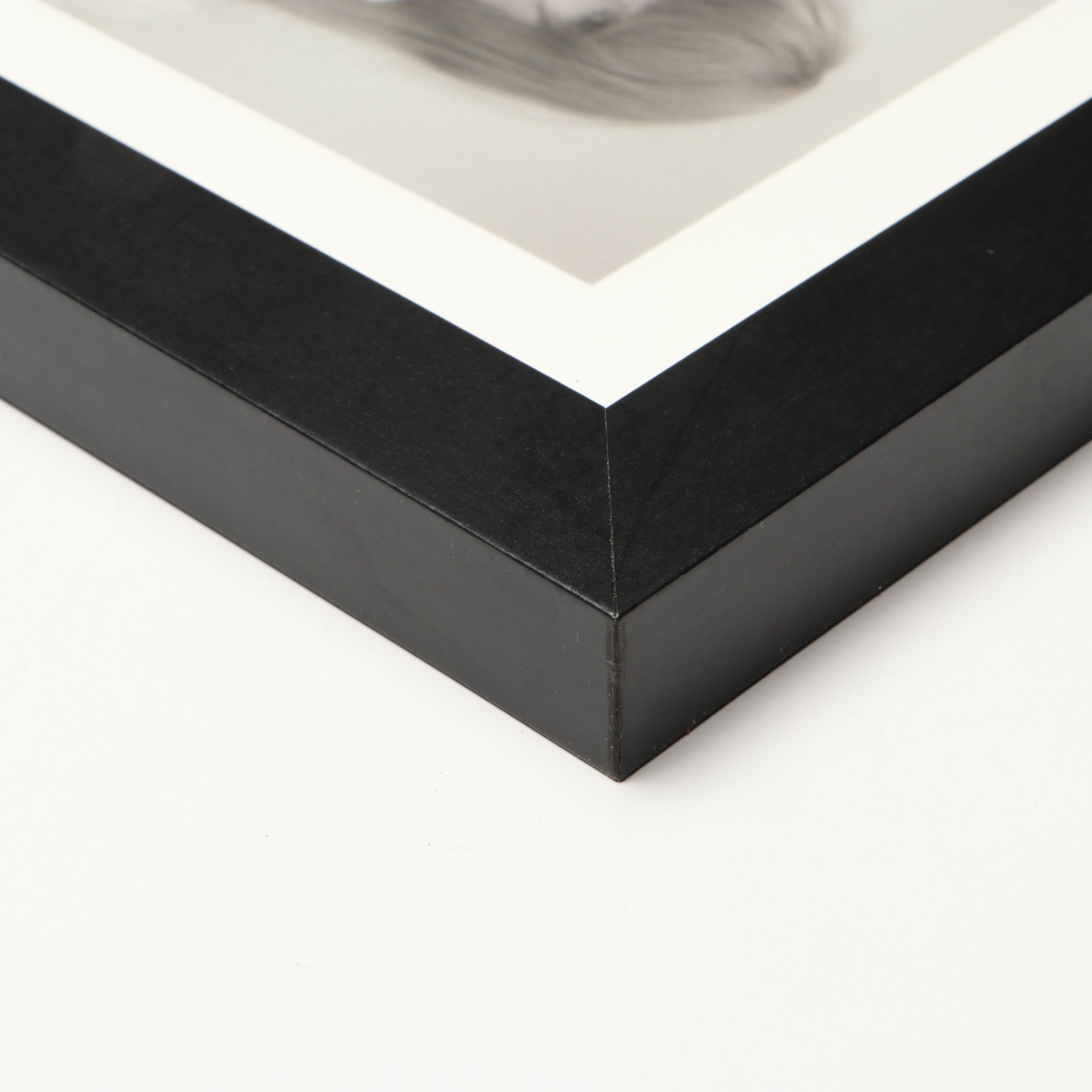 Taylor Swift Signed "The Tortured Poets Department" CD Card in Frame