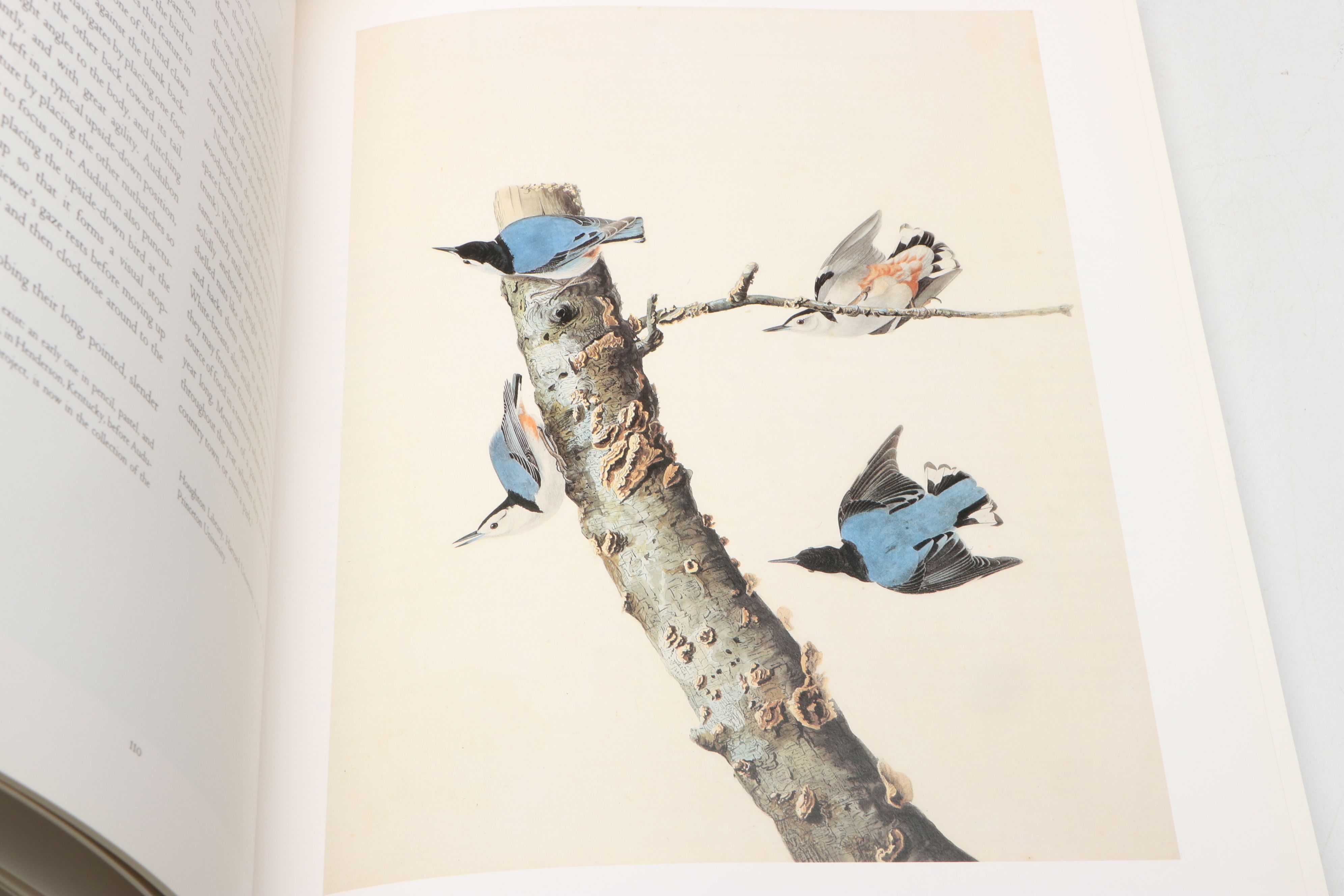 First Printing "John James Audubon: Watercolors for The Birds of America," 1993