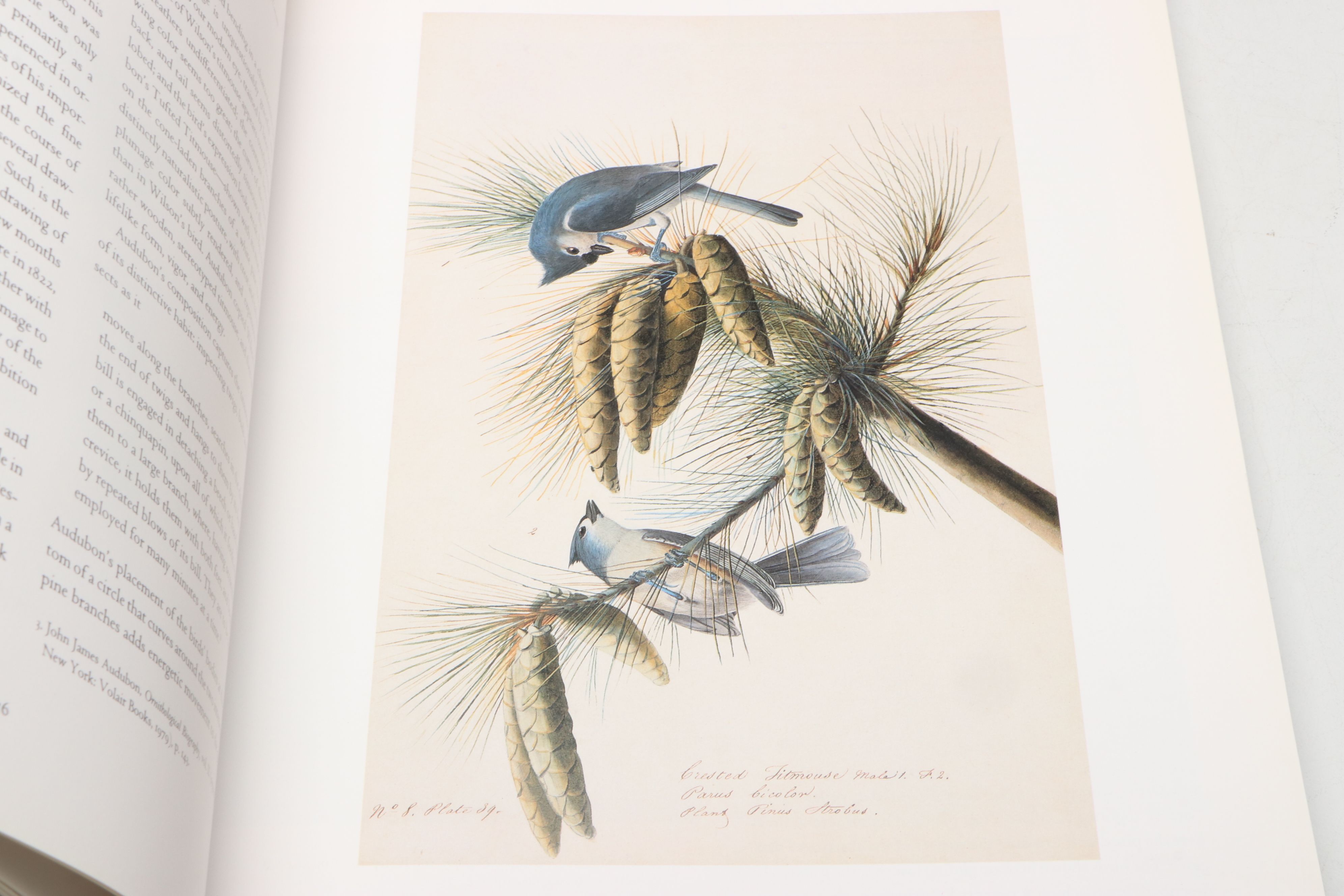 First Printing "John James Audubon: Watercolors for The Birds of America," 1993