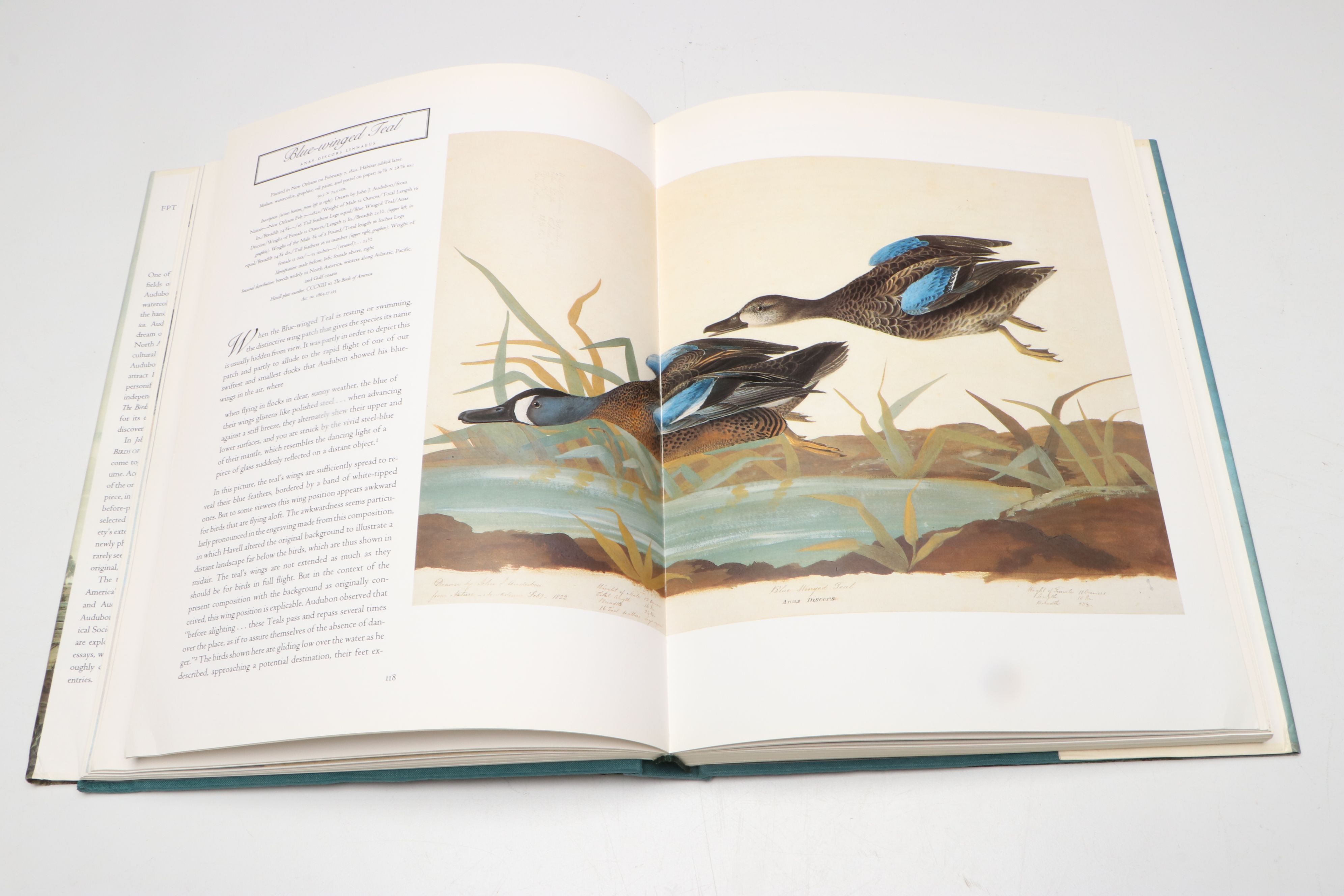 First Printing "John James Audubon: Watercolors for The Birds of America," 1993