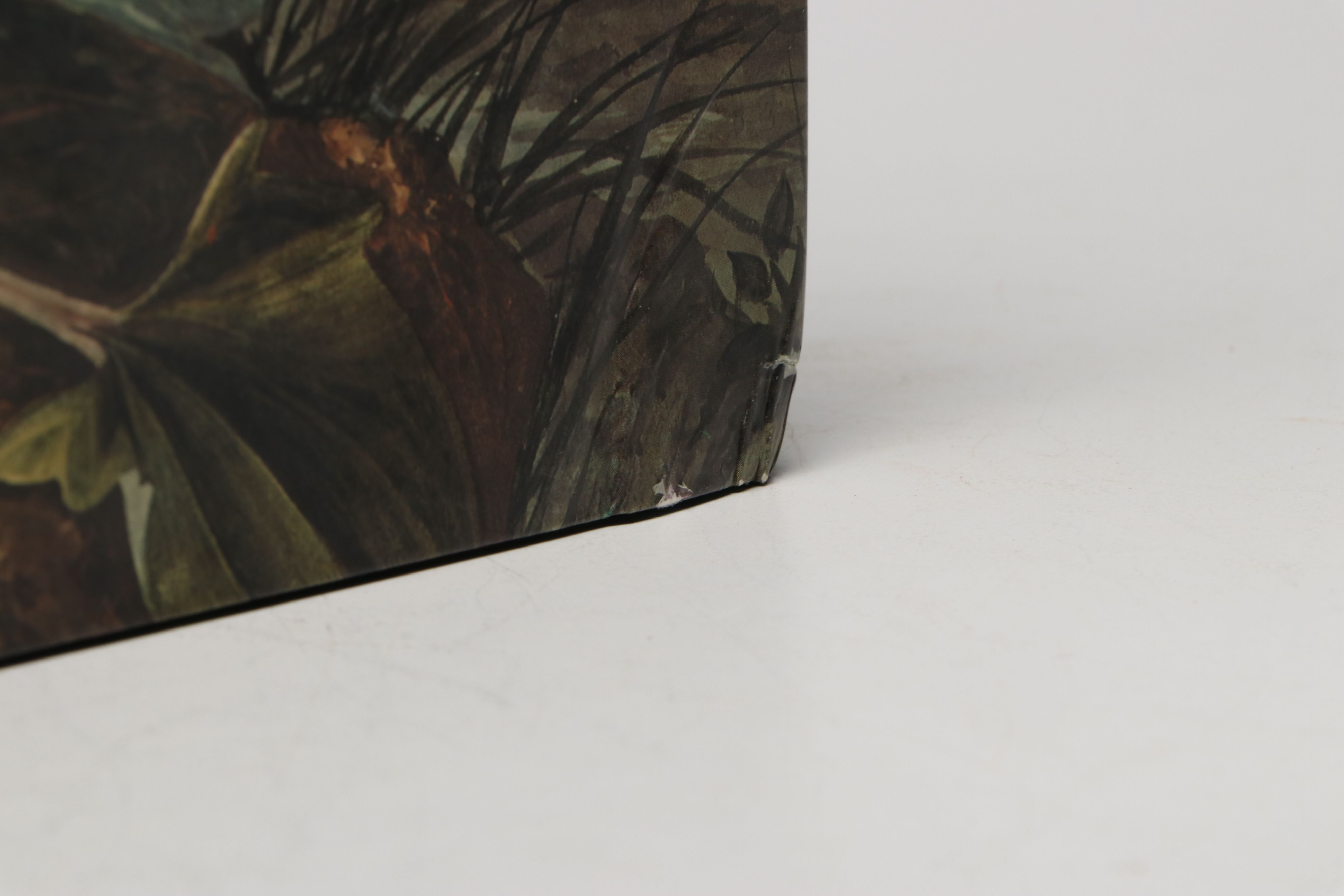 First Printing "John James Audubon: Watercolors for The Birds of America," 1993