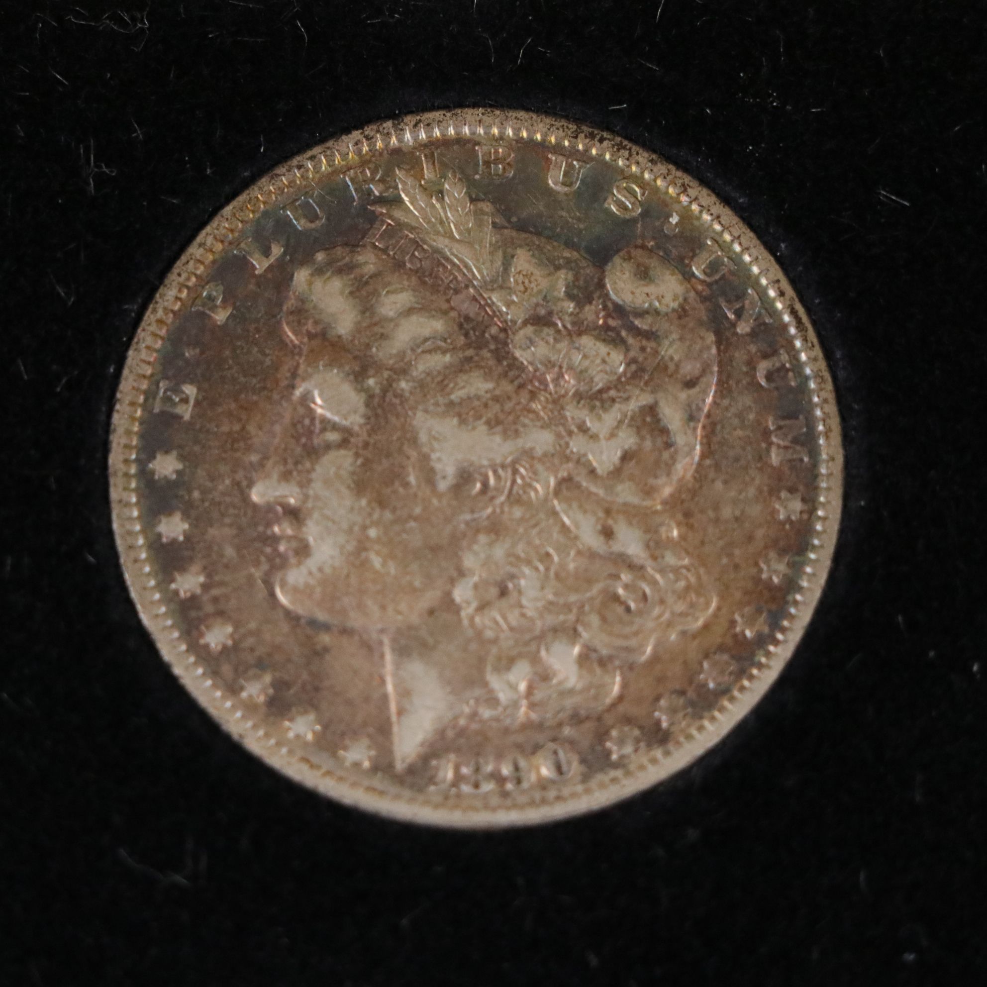 Morgan Silver Dollar Collection and Other Uncirculated Coins