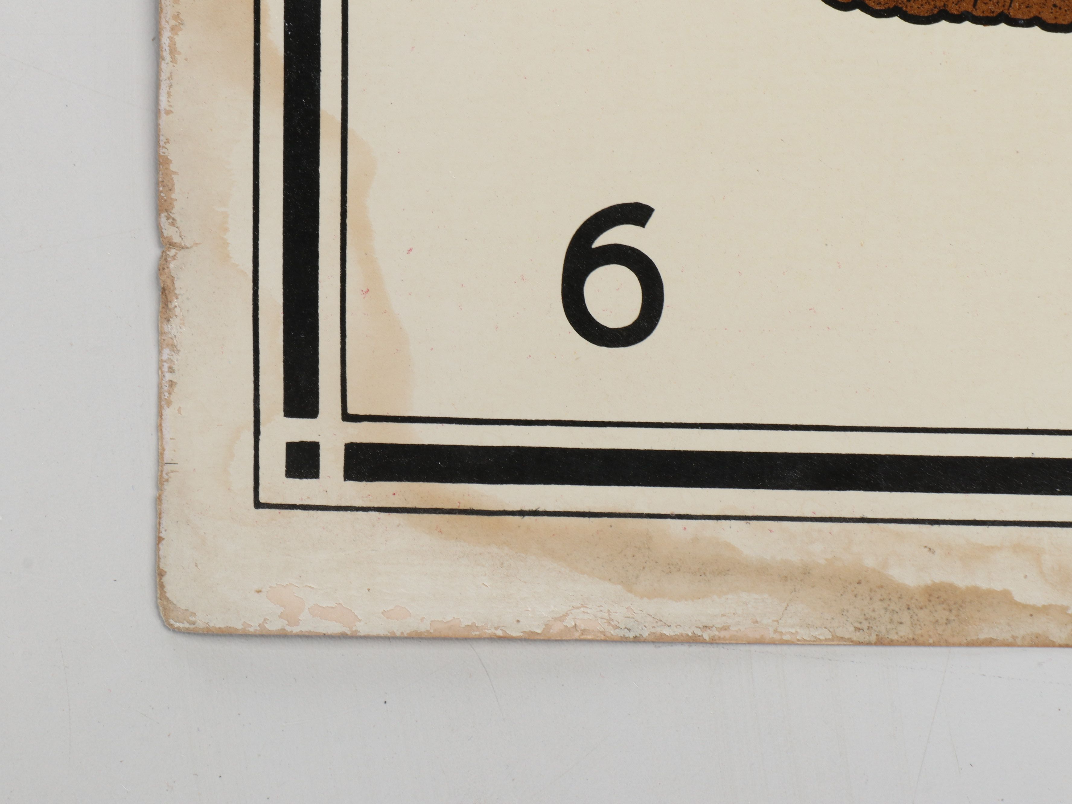 Educational Biology and Anatomy Charts