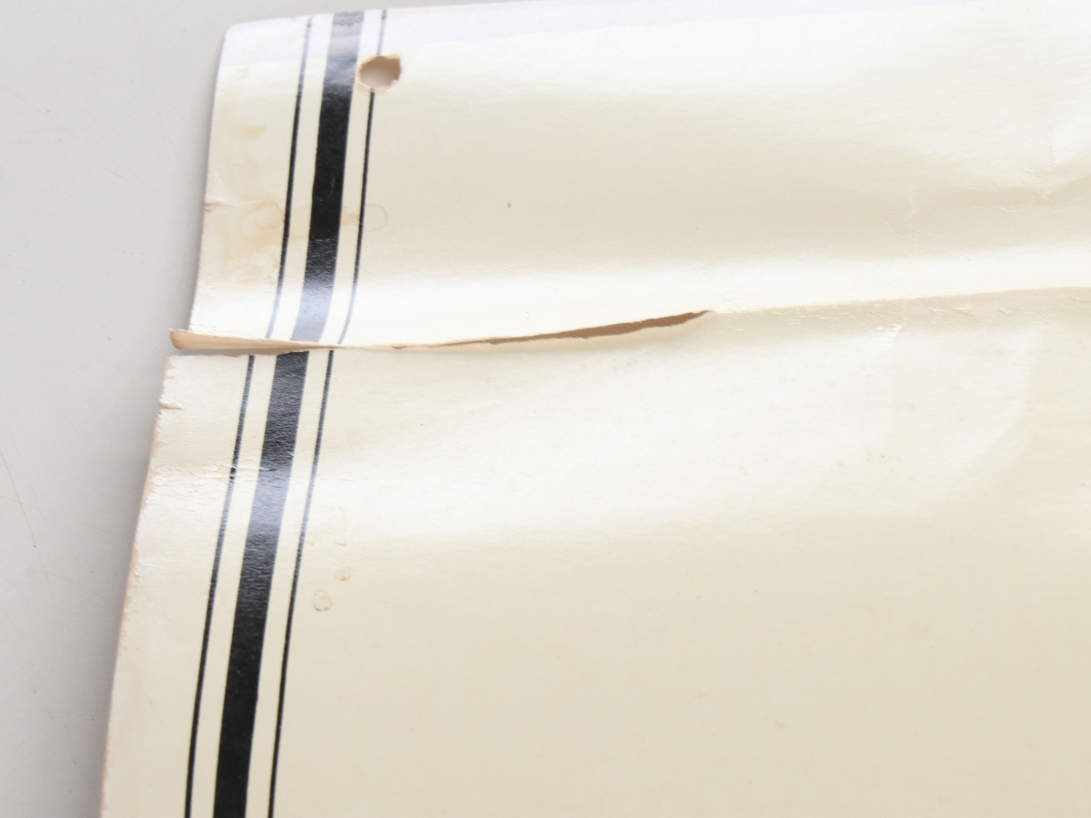 Educational Biology and Anatomy Charts