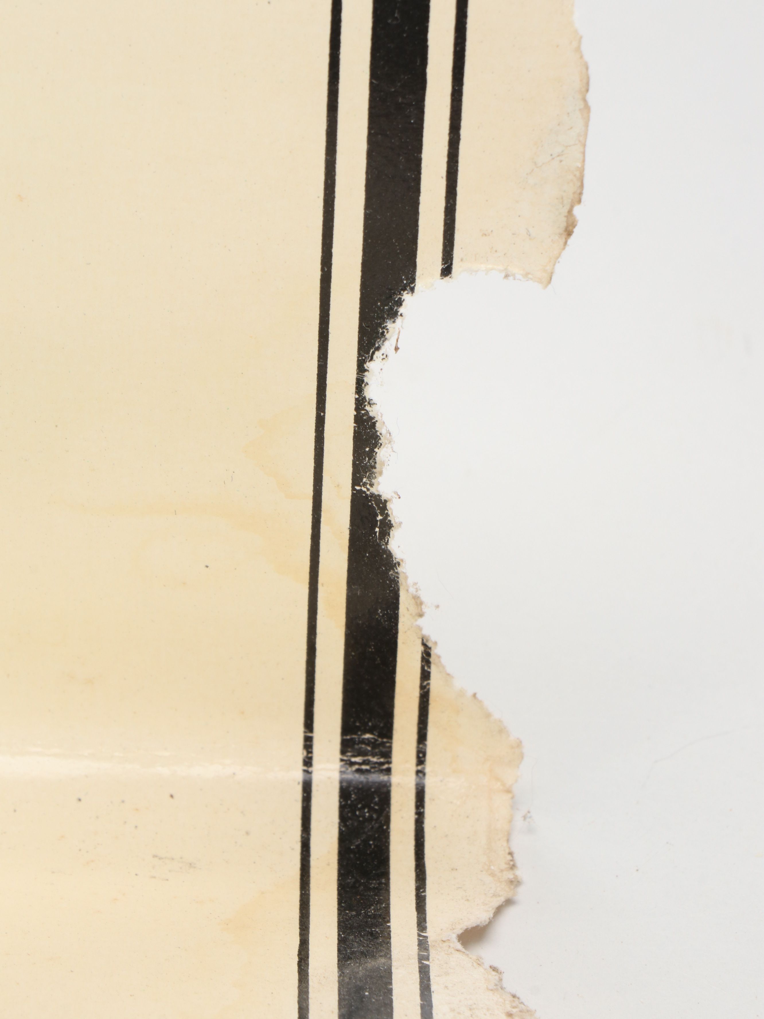 Educational Biology and Anatomy Charts