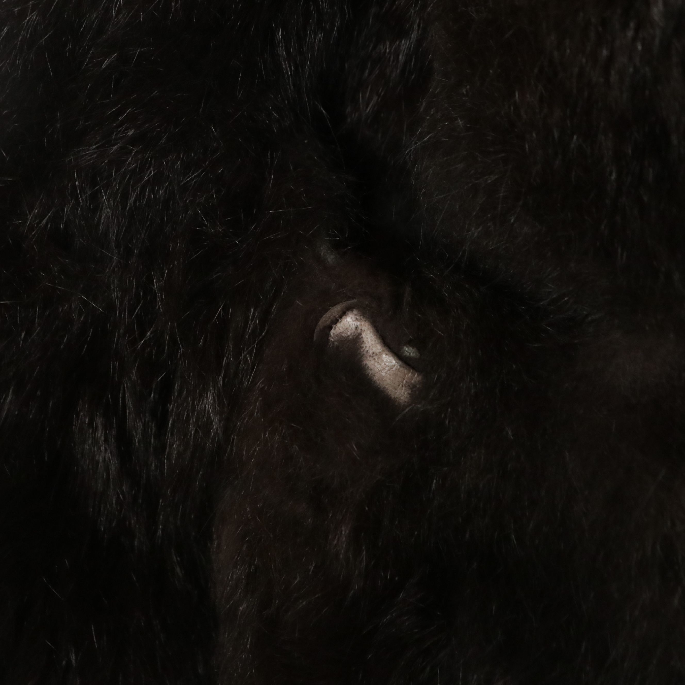 Men's Alan Michaels Chocolate Brown Leather Jacket with Opossum Fur Lining