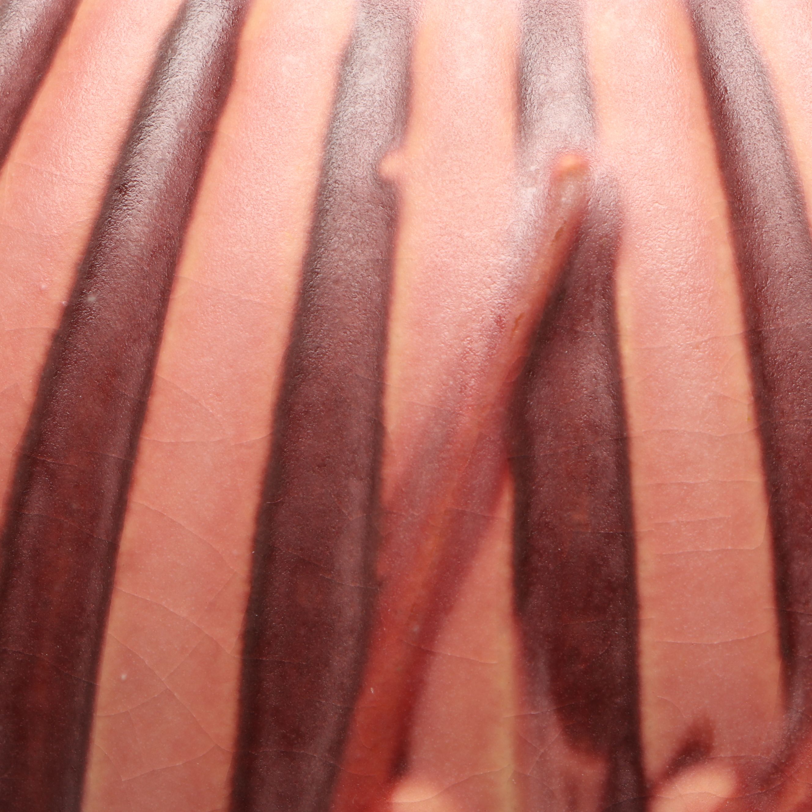 Roseville Pottery "Cherry Blossom" Ceramic Vase, Early to Mid-20th Century