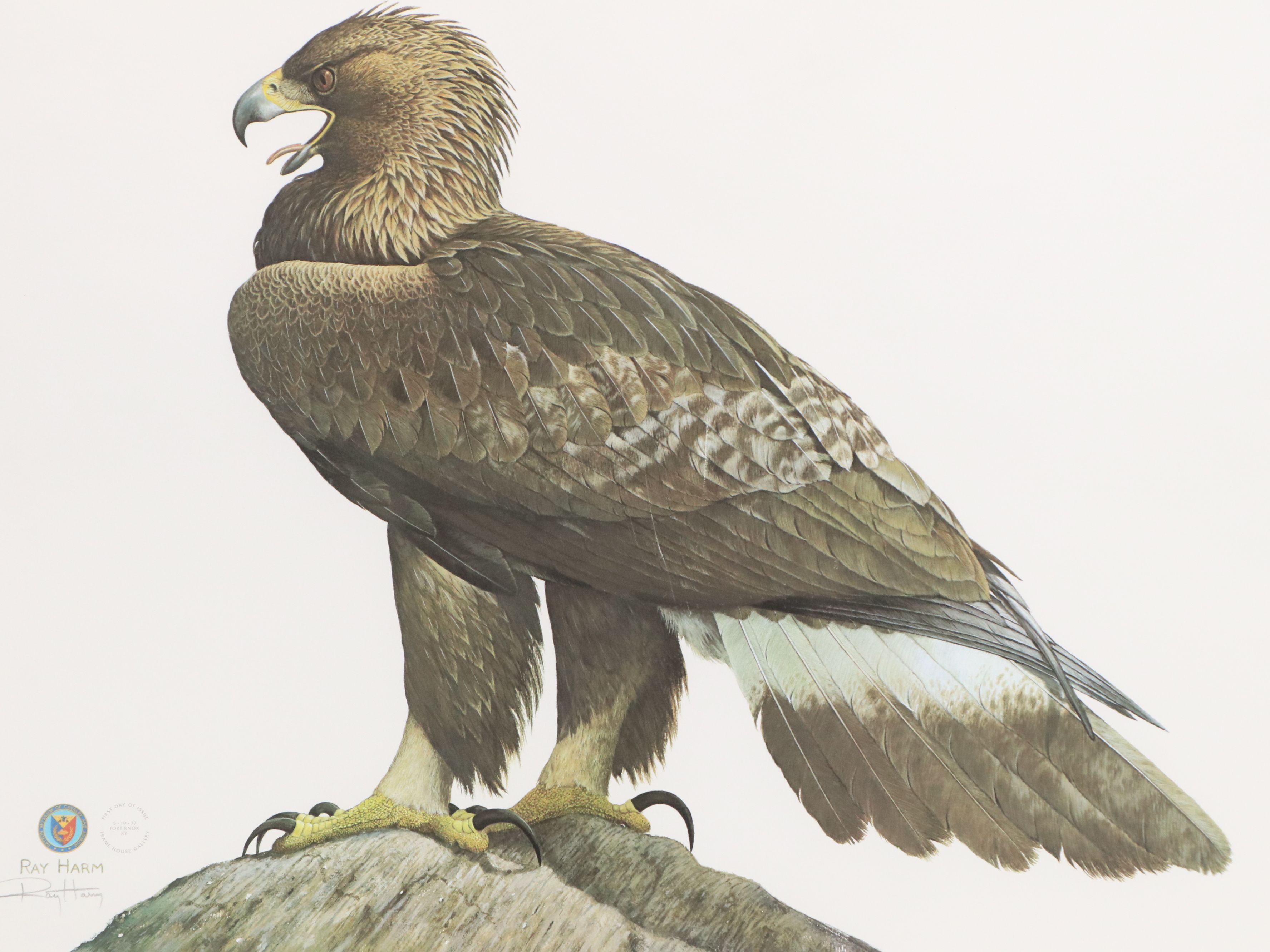 Ray Harm Offset Lithograph of Golden Eagle, 1977