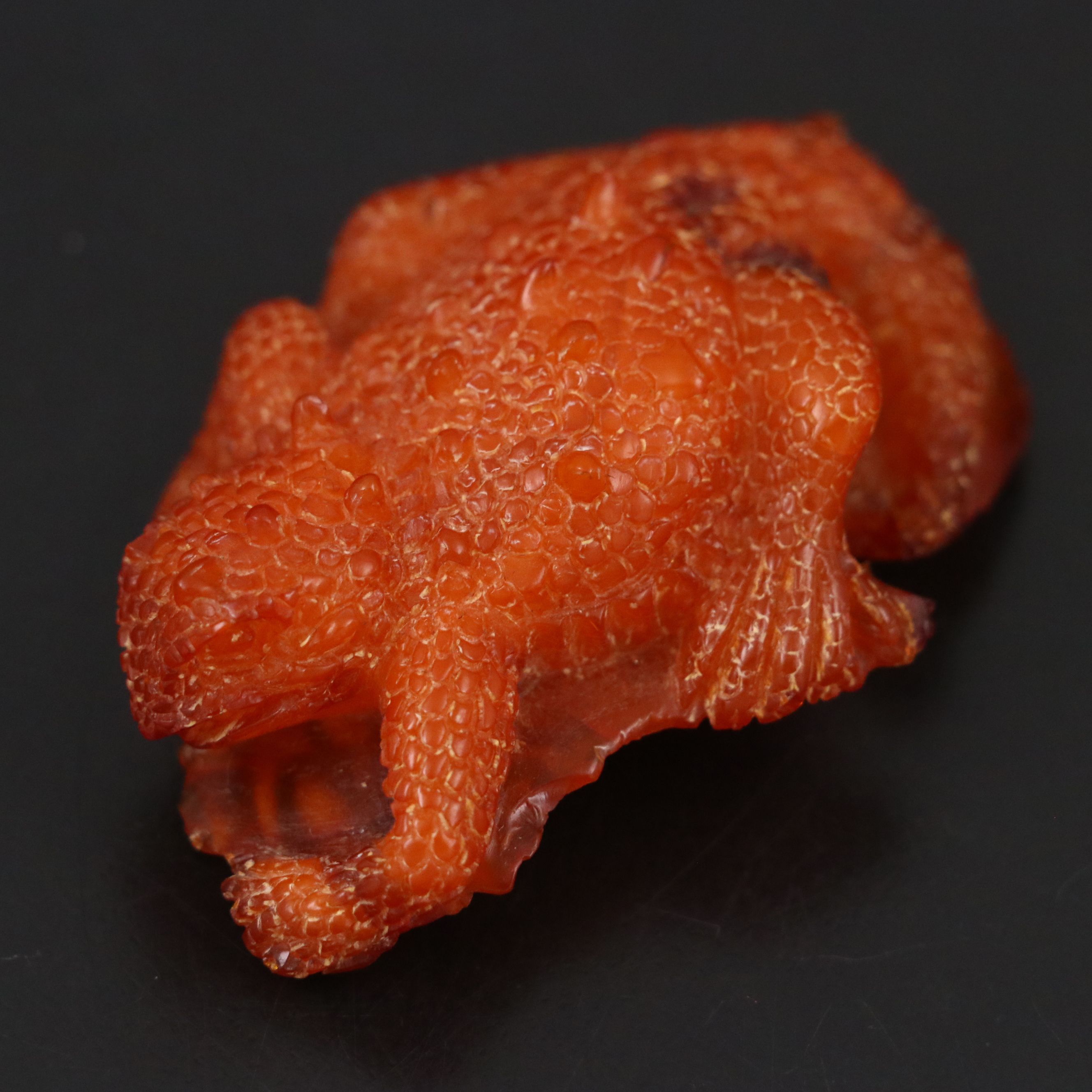 Chinese Carved Amber Horned Lizard