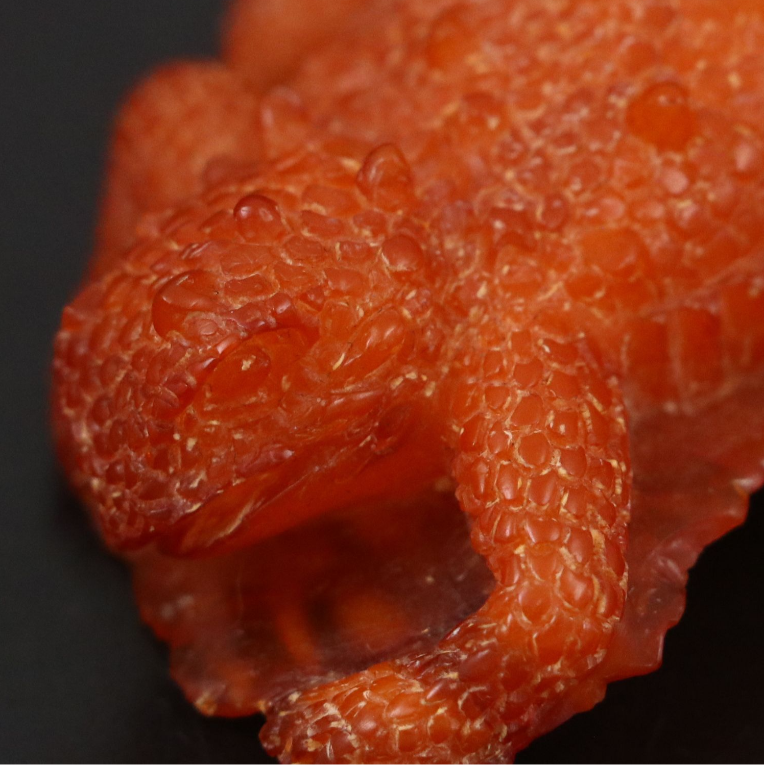 Chinese Carved Amber Horned Lizard