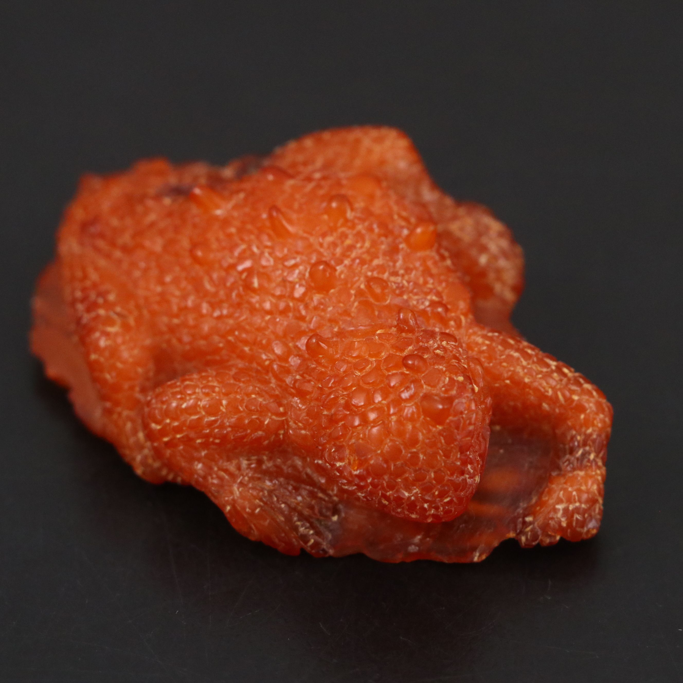 Chinese Carved Amber Horned Lizard