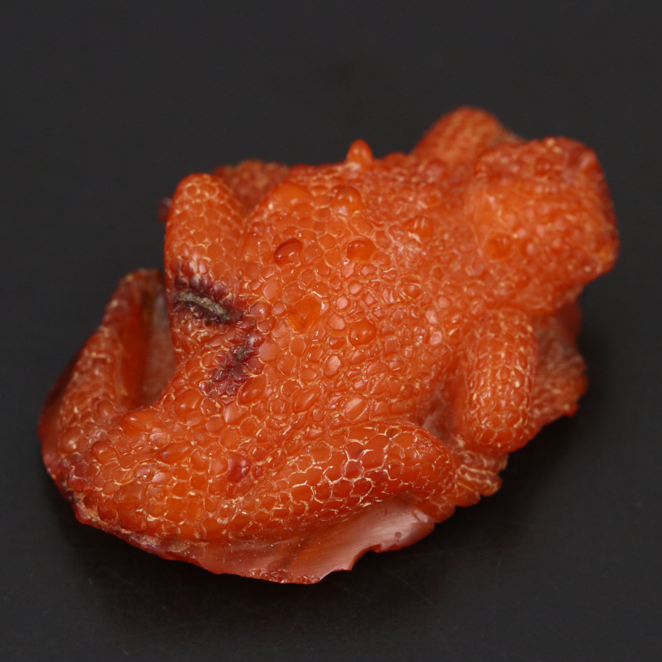 Chinese Carved Amber Horned Lizard