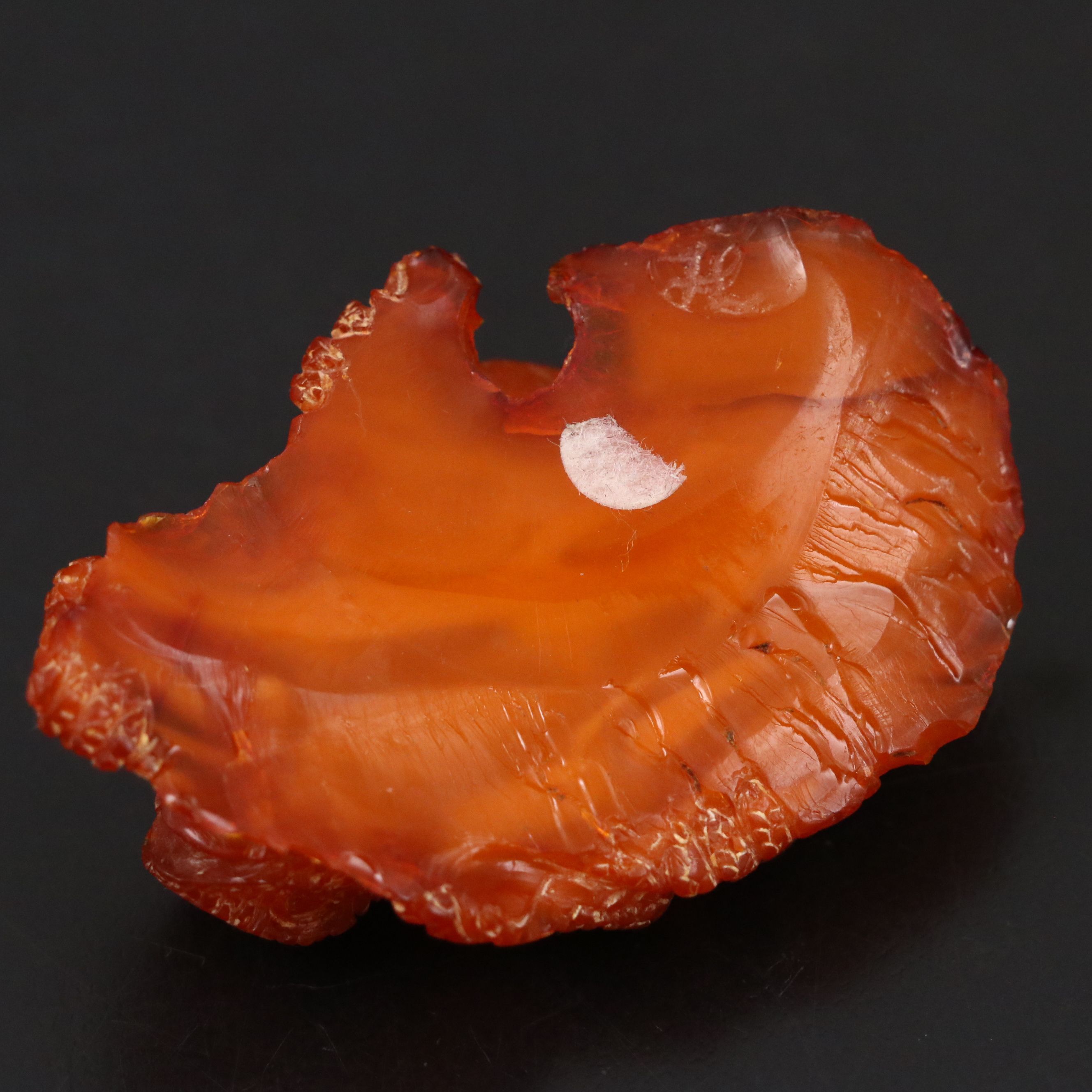 Chinese Carved Amber Horned Lizard