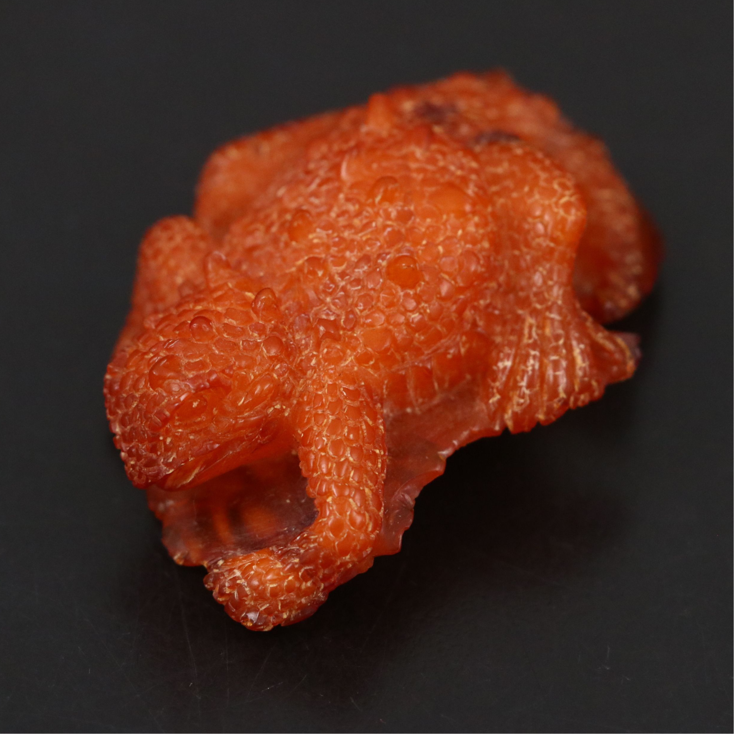 Chinese Carved Amber Horned Lizard