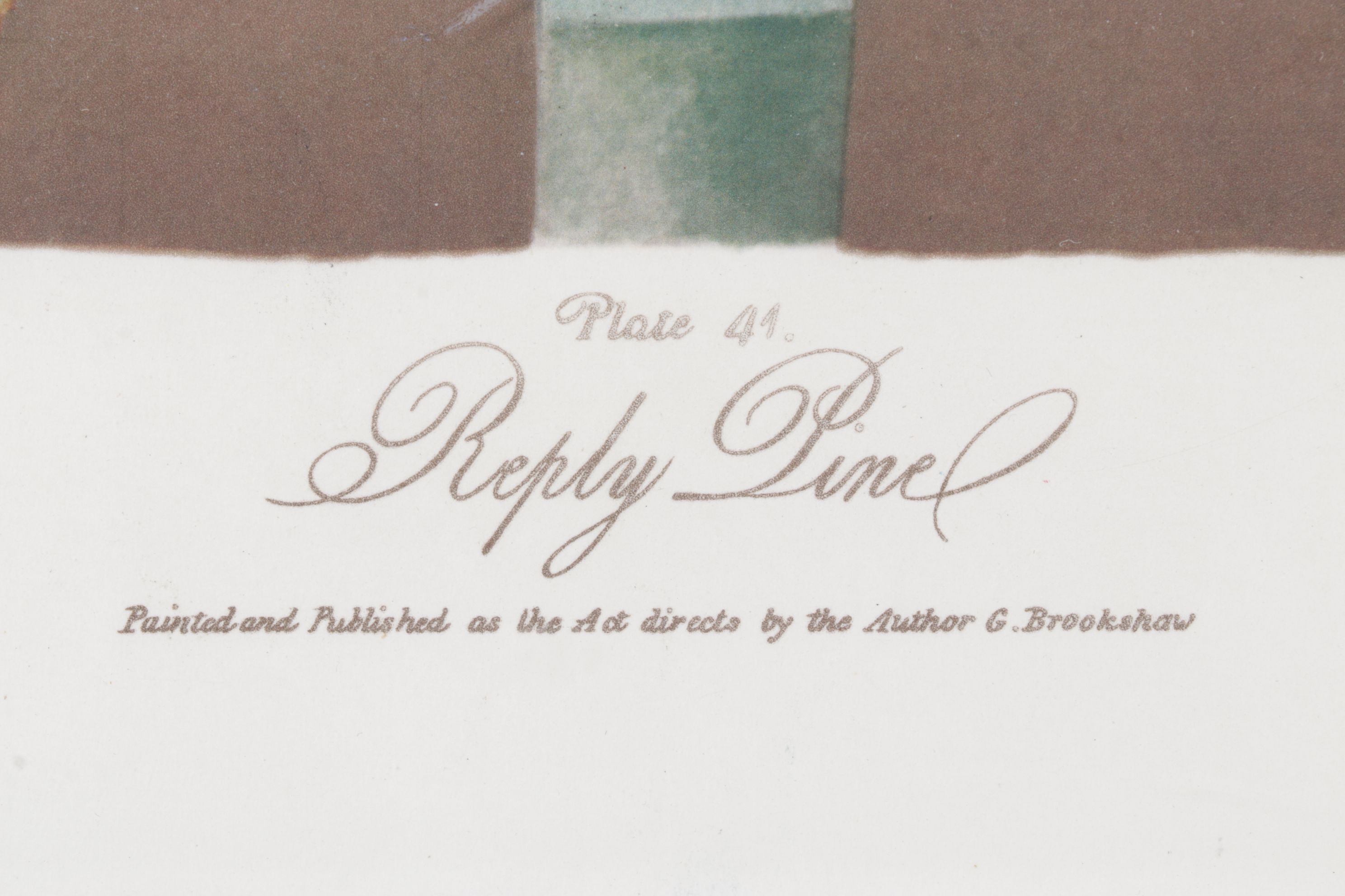 Etching with Aquatint After George Brookshaw "Riply Pine", 1804