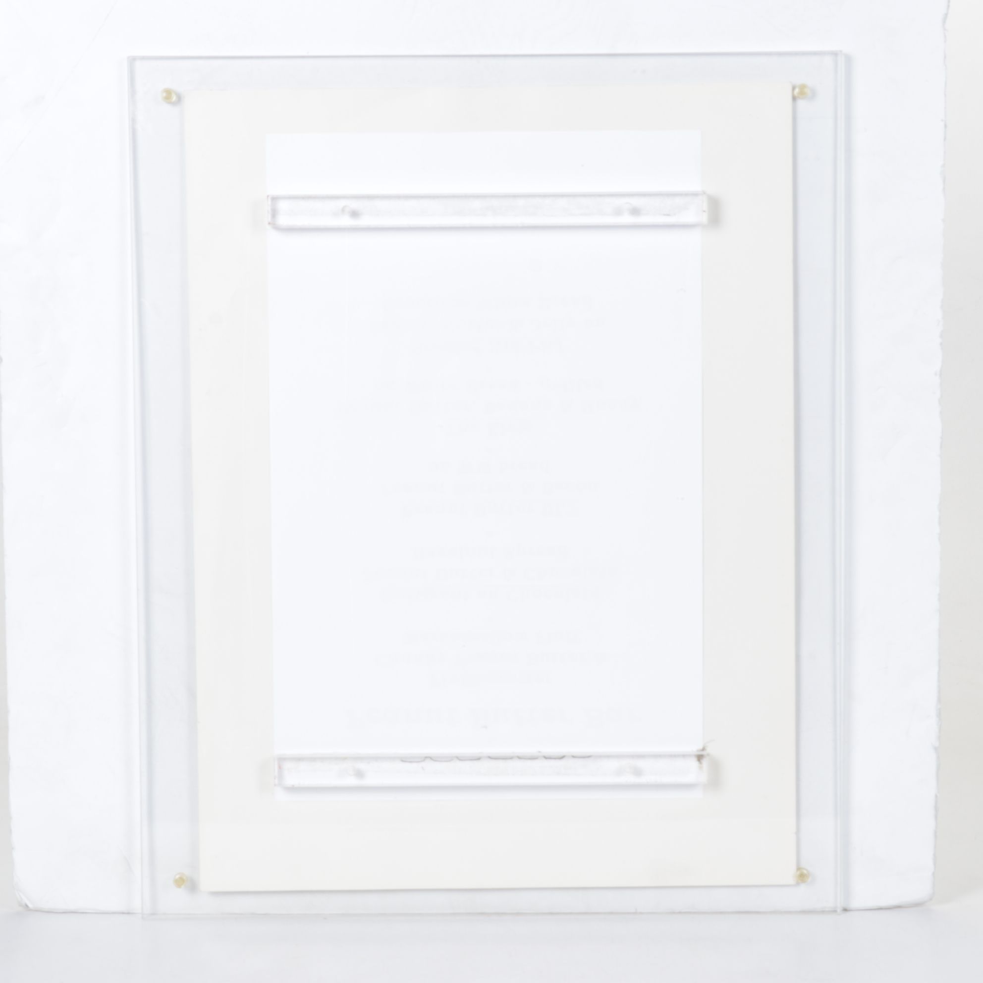 Etching with Aquatint After George Brookshaw "Riply Pine", 1804