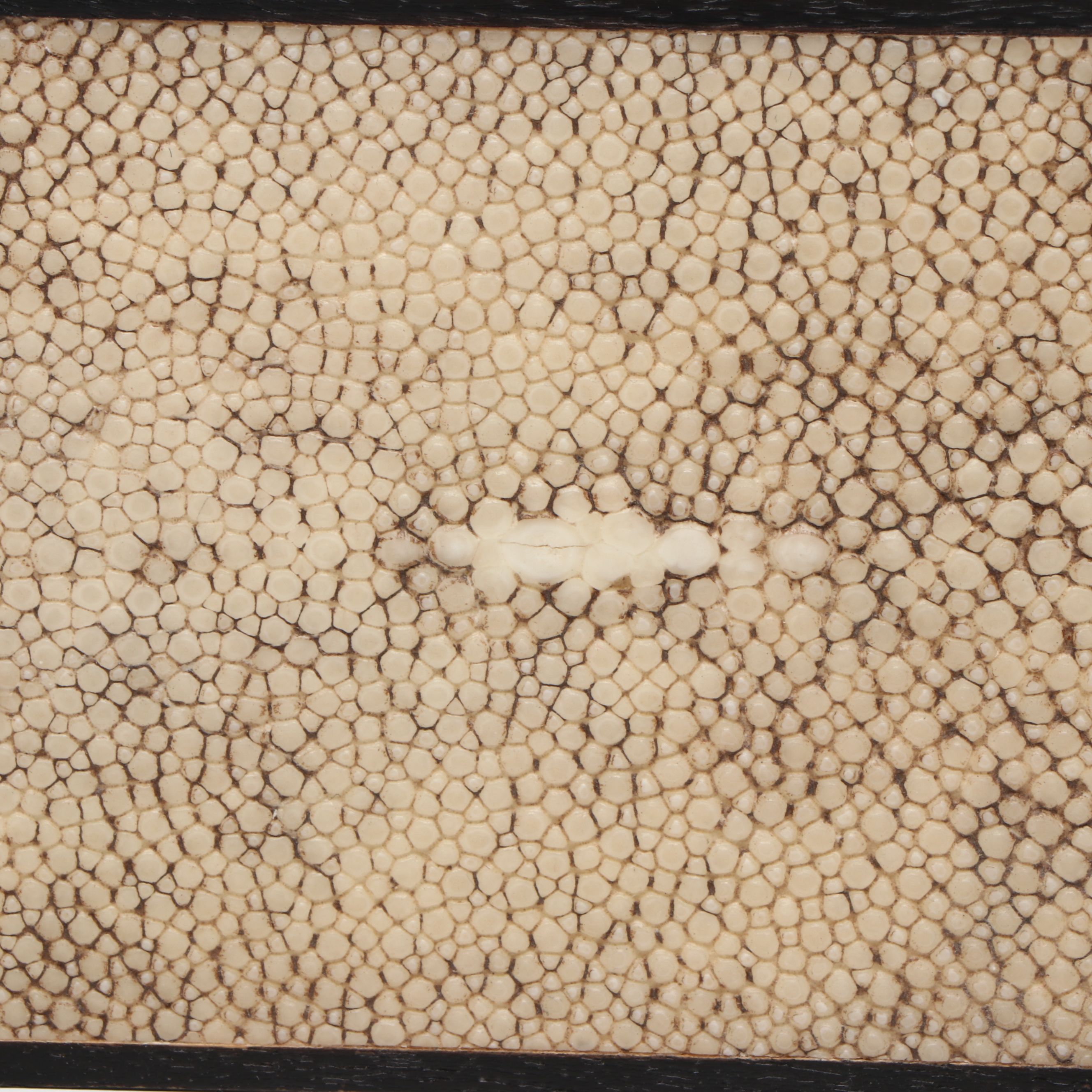 R & Y Augousti French Shagreen Box, Late 20th Century