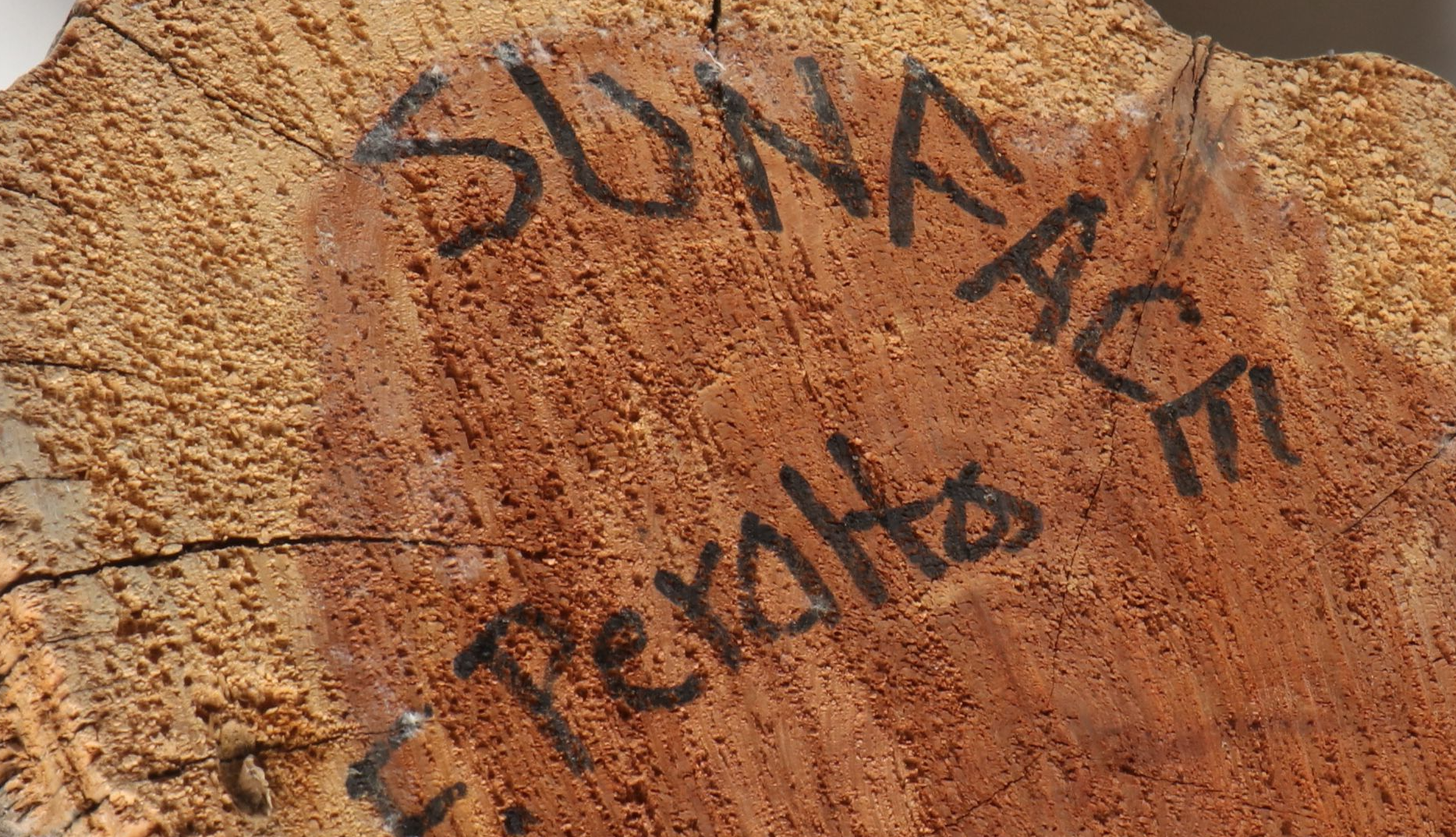 F. Peralto "Sunface" Tawa Cottonwood Kachina Doll with Rabbit Fur and Feathers