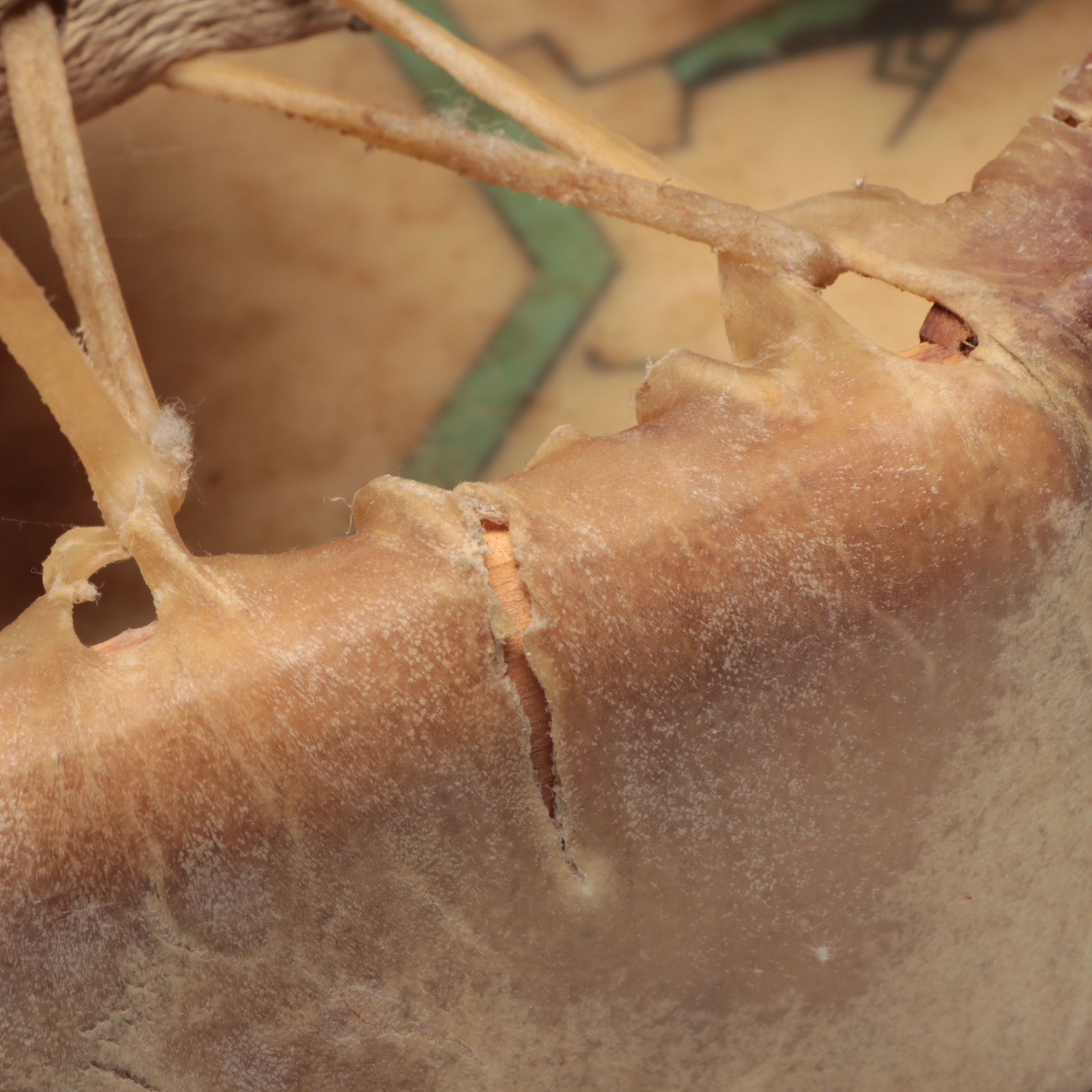 BJ Quintana "Kokopelli: The Joybringer" Hand-Painted Hide Drum, 1991