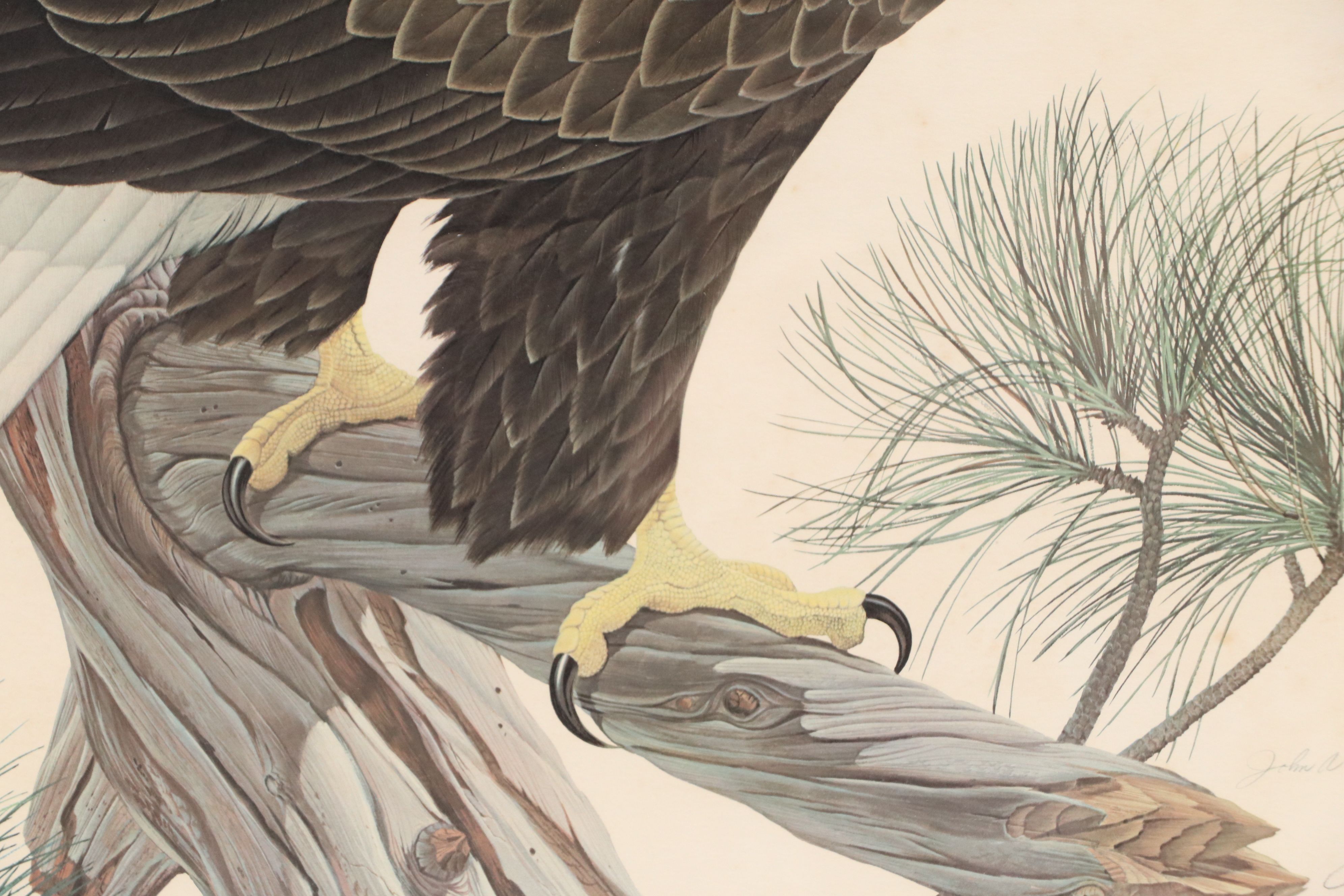 John A. Ruthven Offset Lithograph "Bald Eagle," Late 20th Century