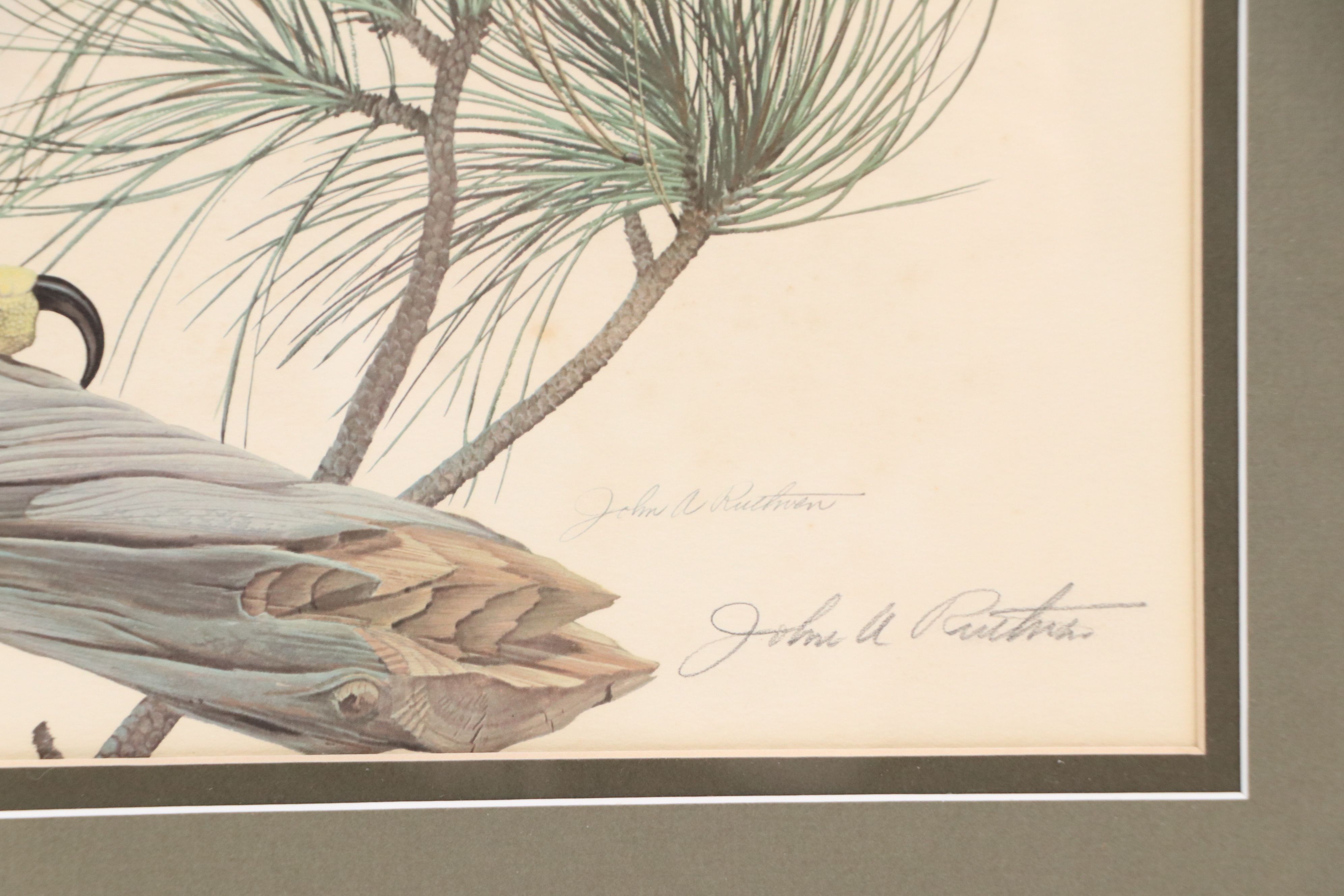 John A. Ruthven Offset Lithograph "Bald Eagle," Late 20th Century