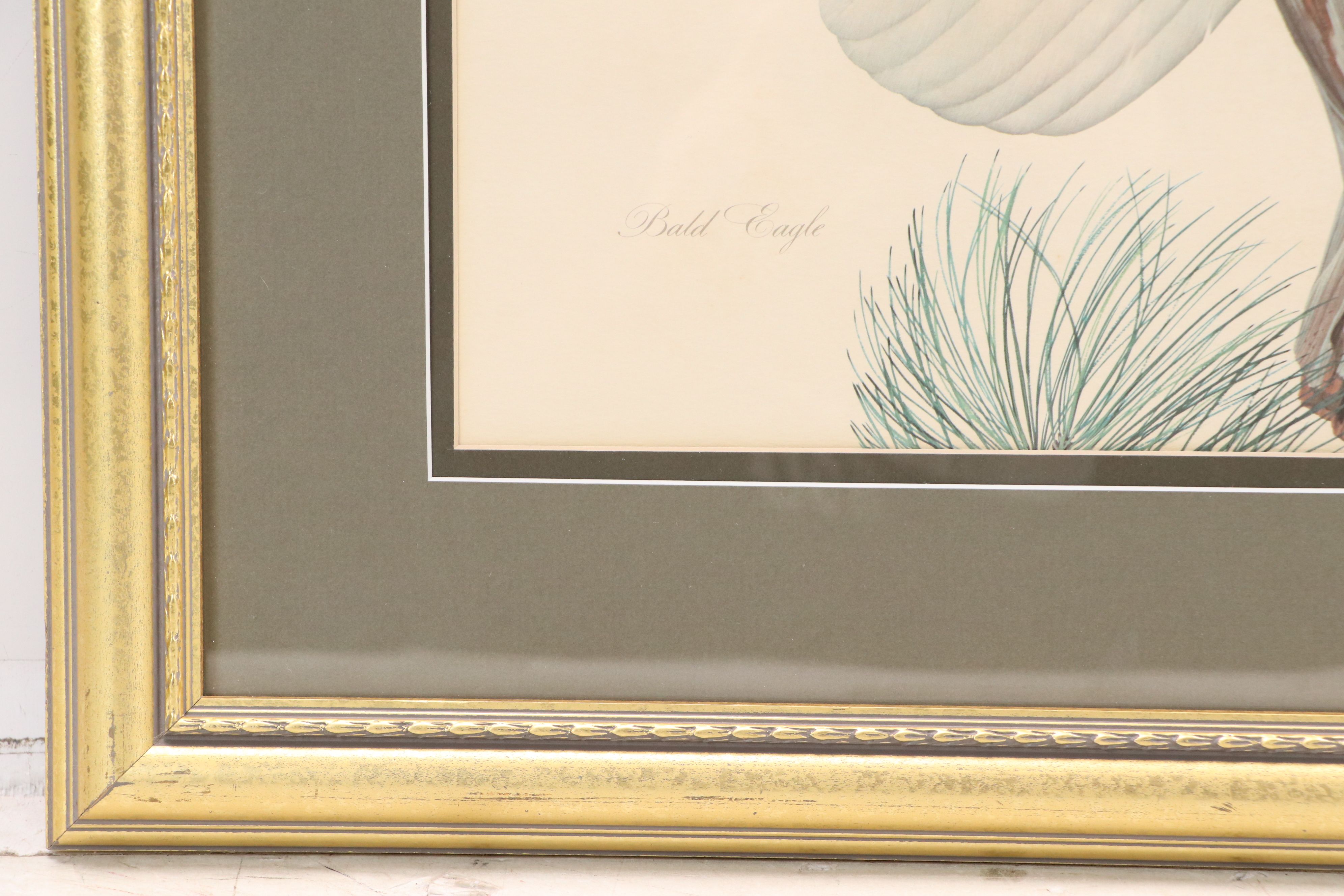 John A. Ruthven Offset Lithograph "Bald Eagle," Late 20th Century