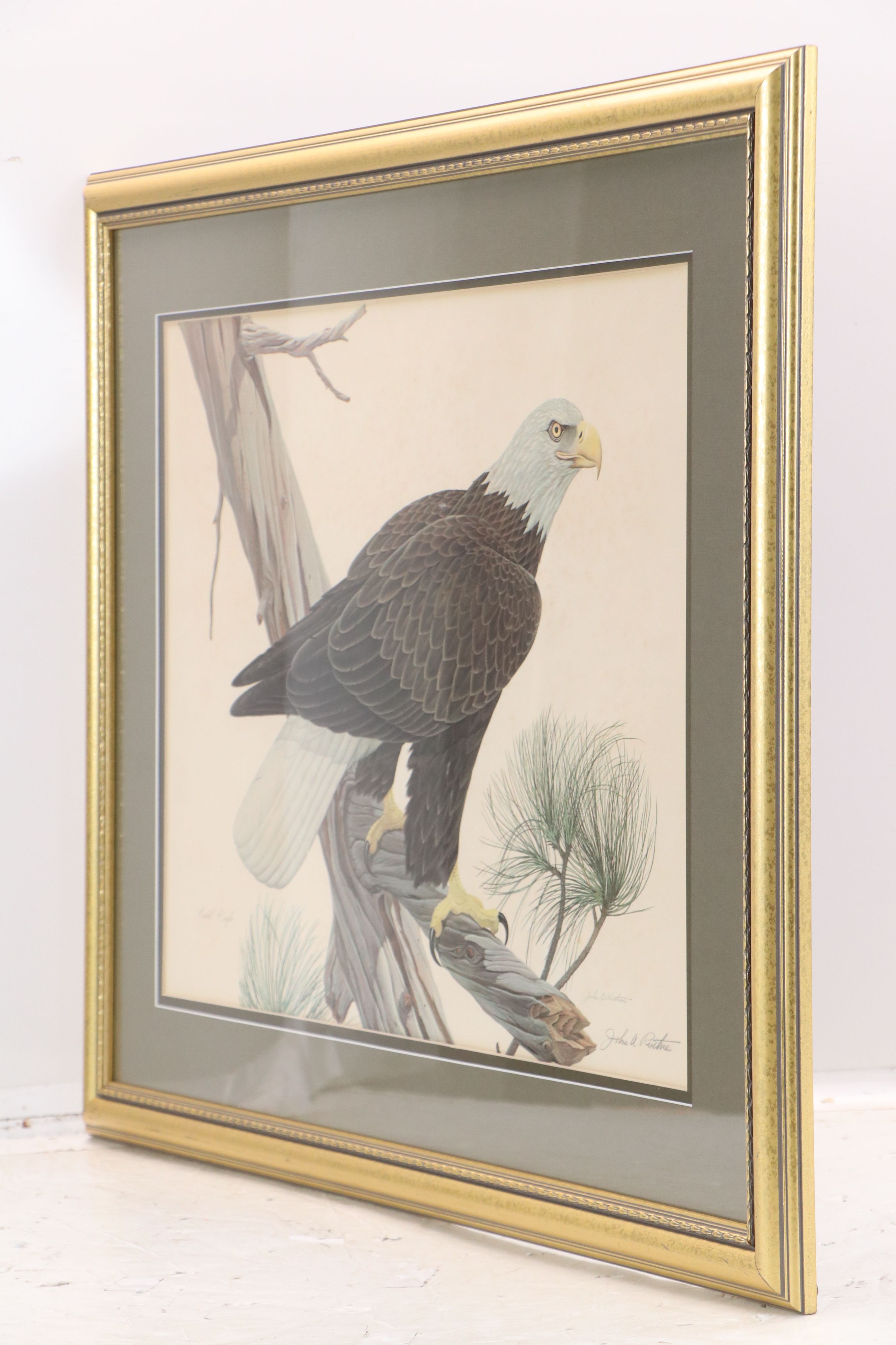 John A. Ruthven Offset Lithograph "Bald Eagle," Late 20th Century