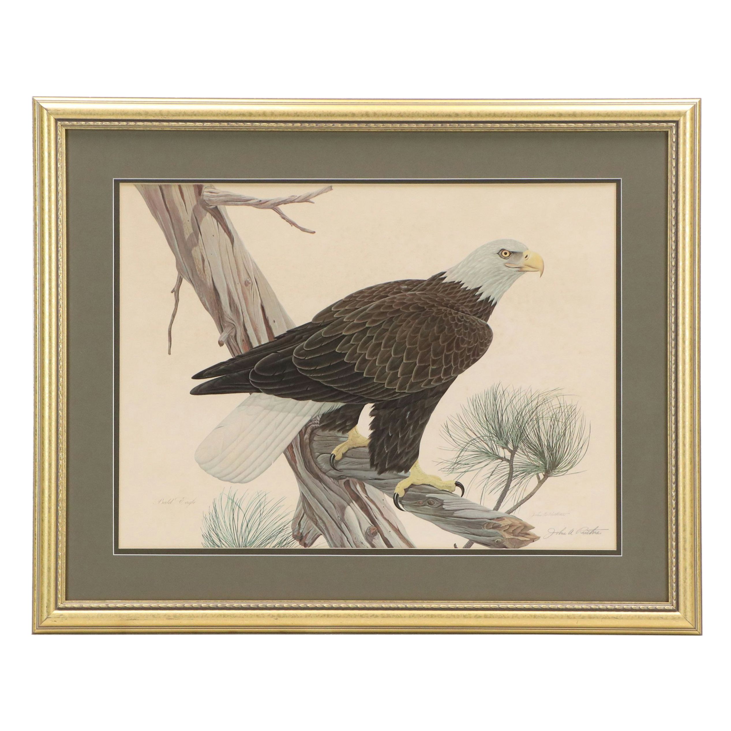 John A. Ruthven Offset Lithograph "Bald Eagle," Late 20th Century