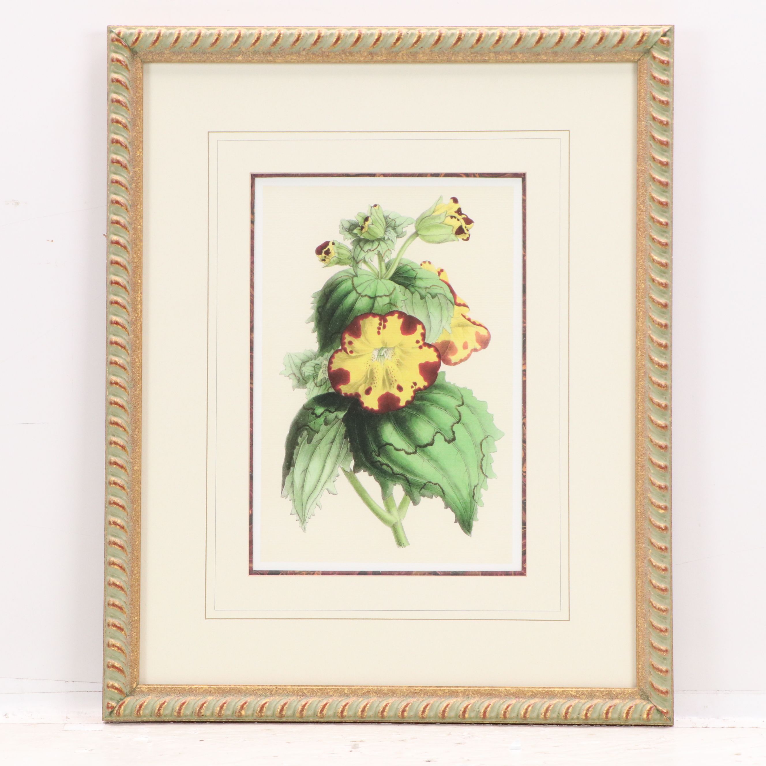 Botanical Digital Prints After James Andrews, 21st Century