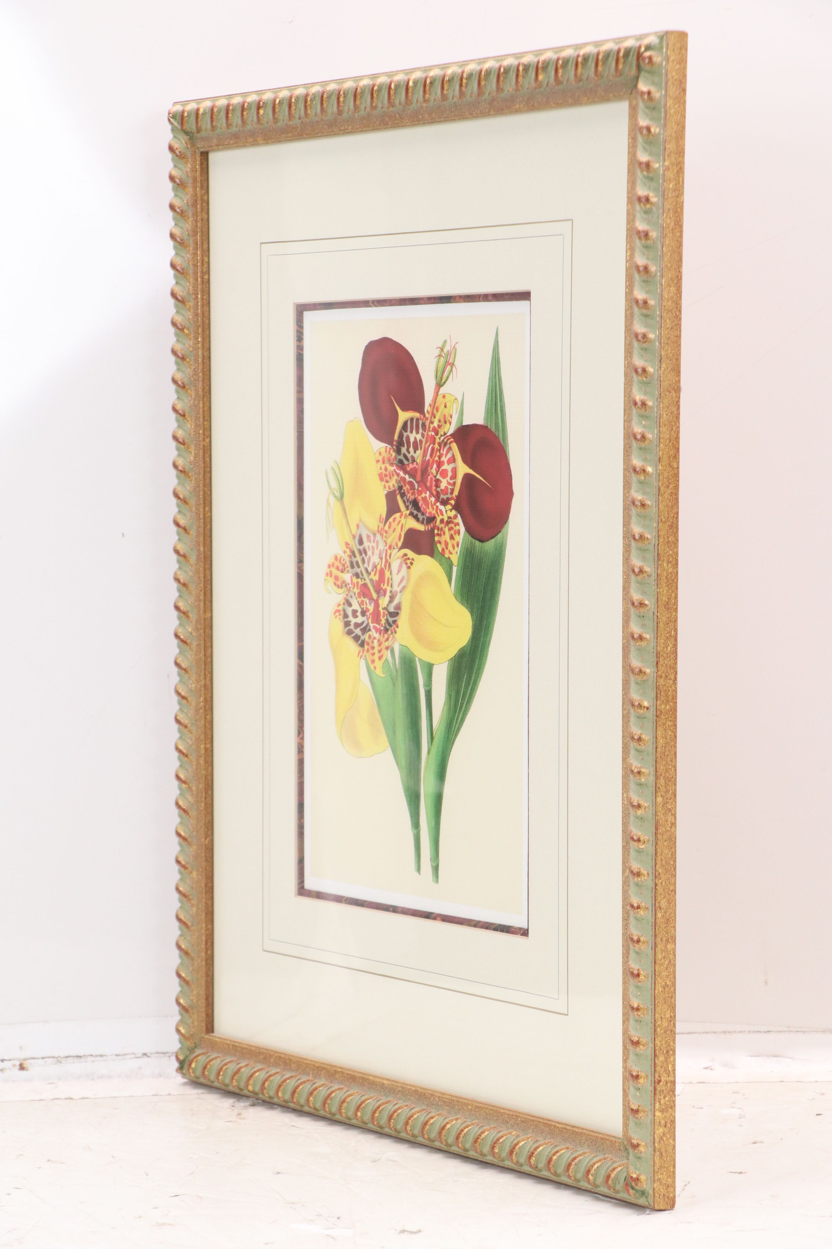 Botanical Digital Prints After James Andrews, 21st Century