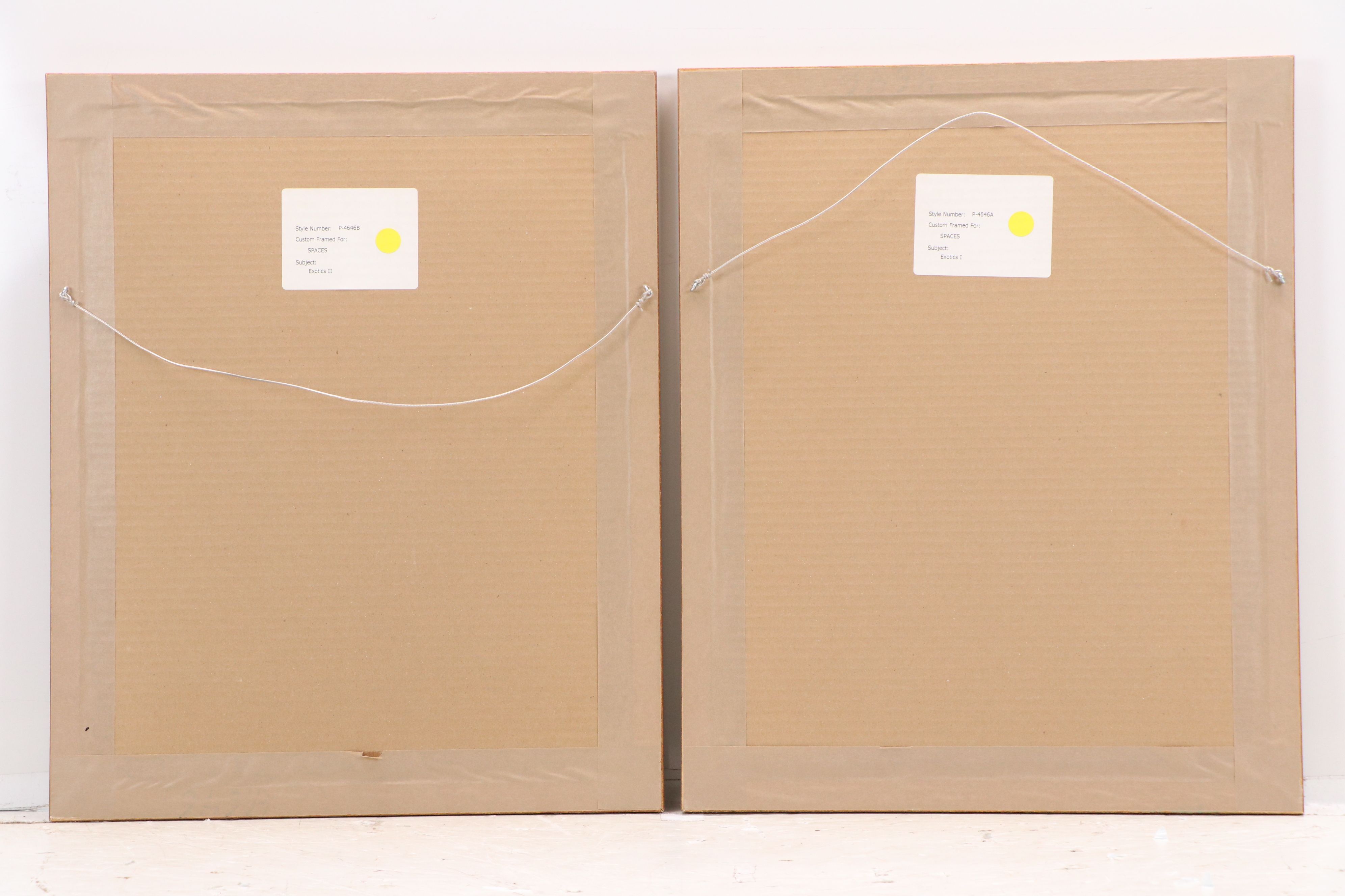 Botanical Digital Prints After James Andrews, 21st Century