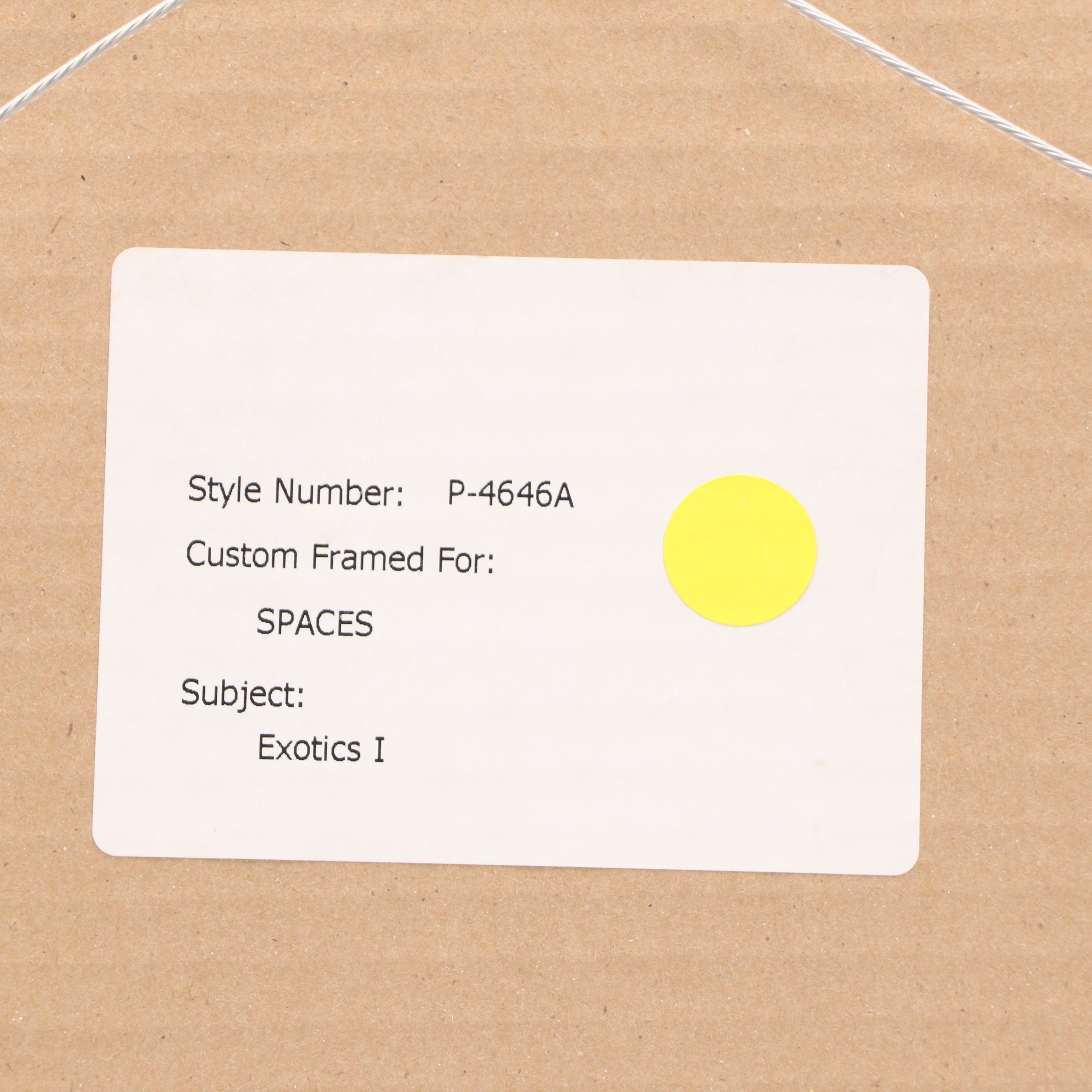 Botanical Digital Prints After James Andrews, 21st Century