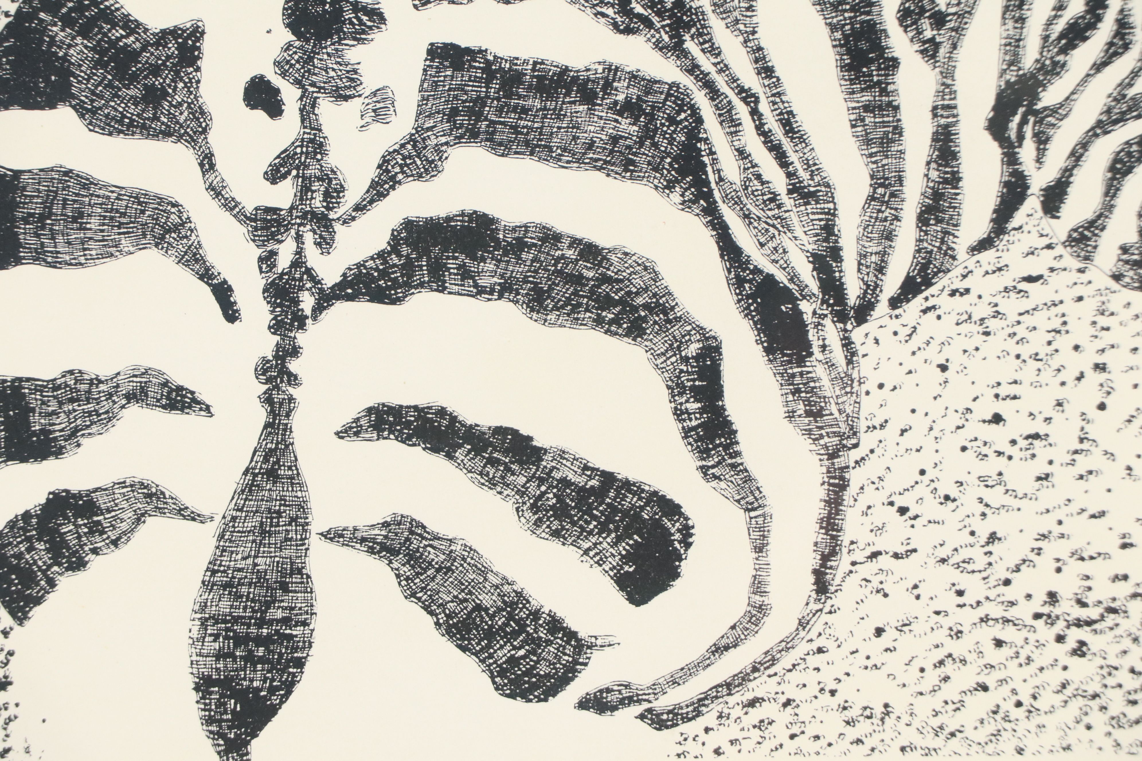 Wood Engraving "Zebra Profile," Late 20th to 21st Century