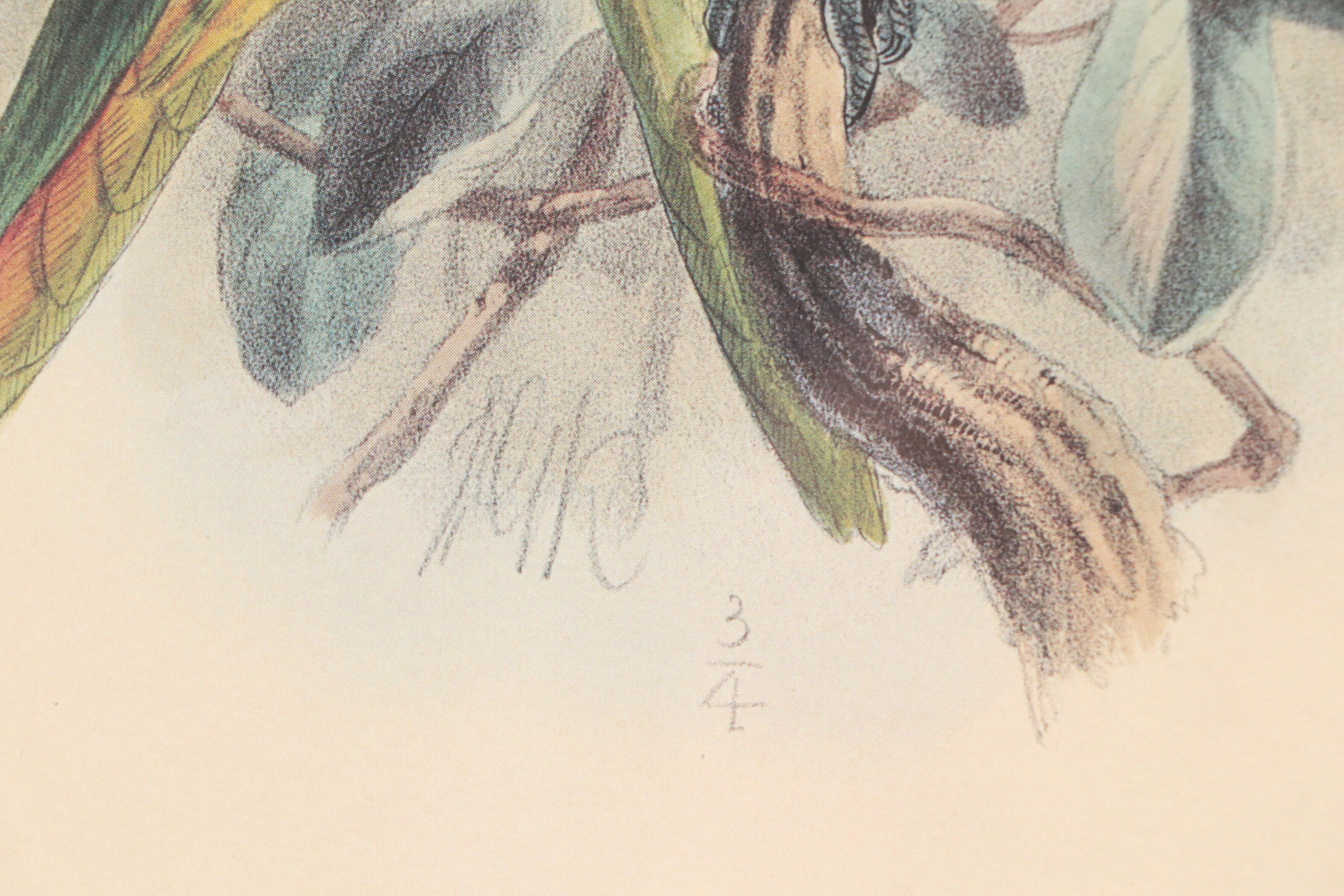 Offset Lithograph of Parrots After John Gerrard Keulemans, 21st Century