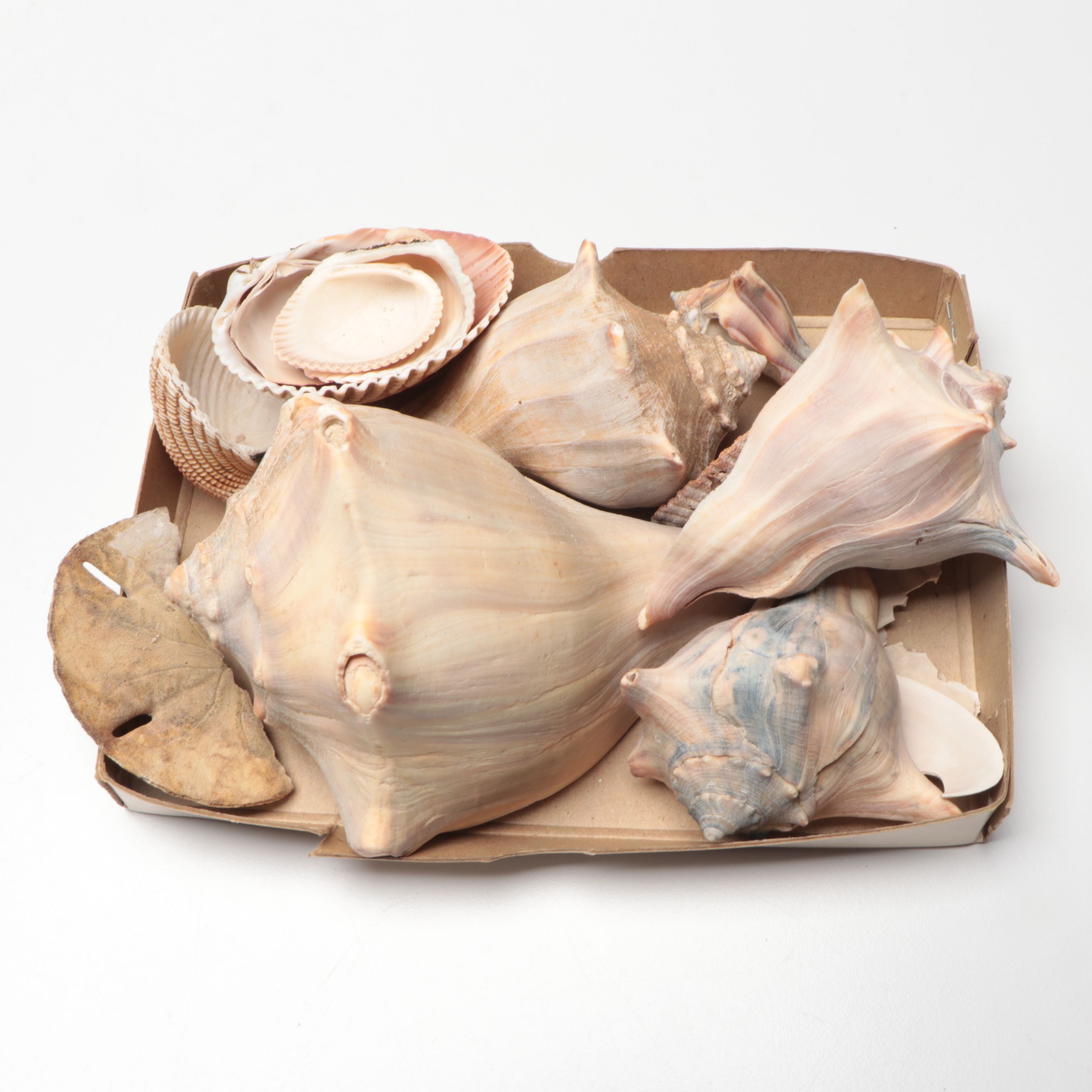 Marvel Valentine's Day Cards, Wood Yo-Yos and Other Vintage Décor