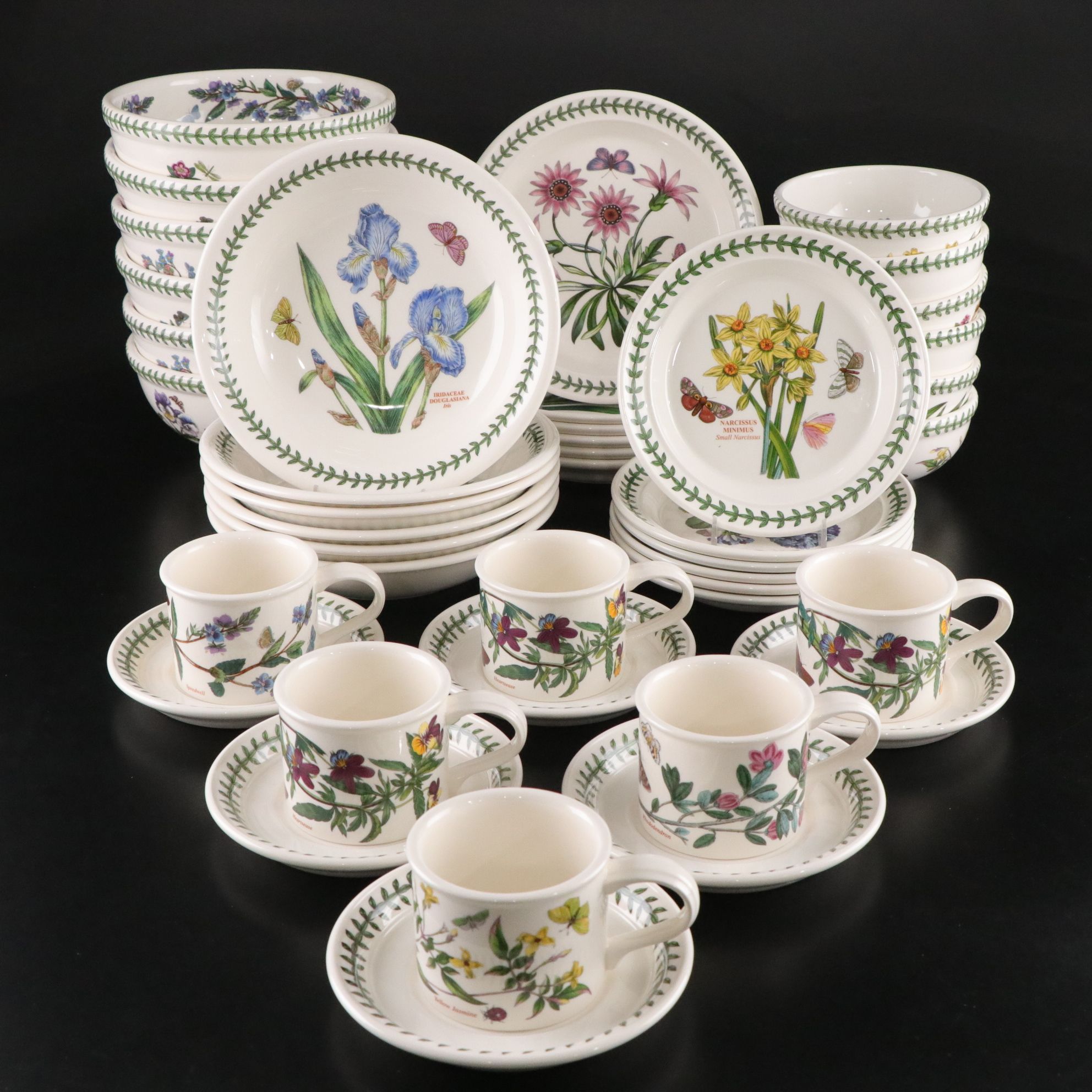 Potrmeirion "Botanic Garden" Six Piece Setting for Six Dinner
