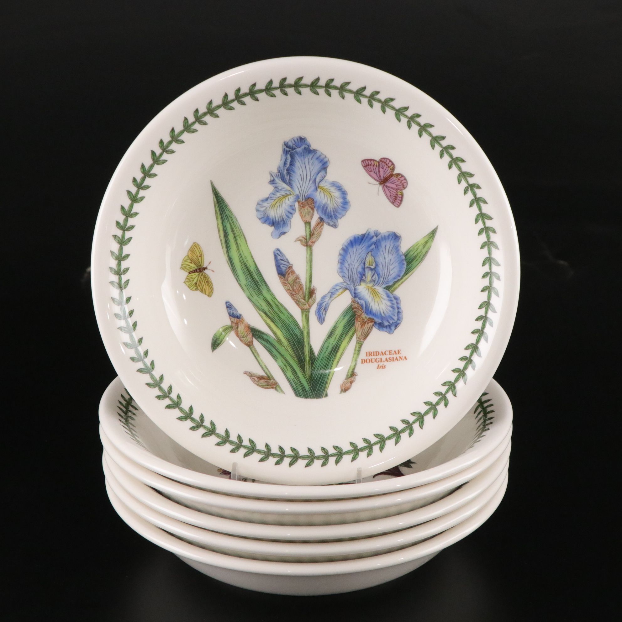 Potrmeirion "Botanic Garden" Six Piece Setting for Six Dinner